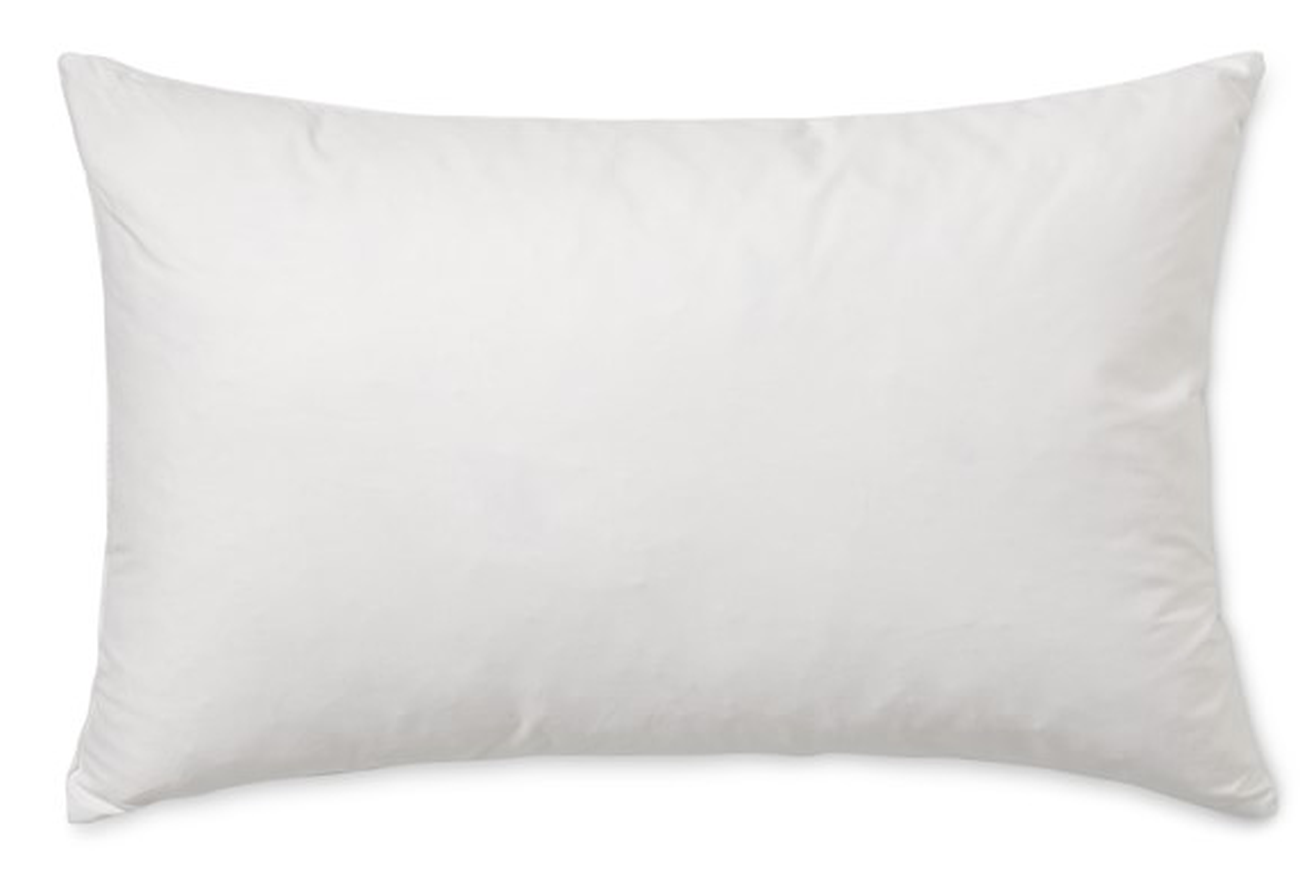 Decorative Pillow Insert 14"X22" - Williams Sonoma Home