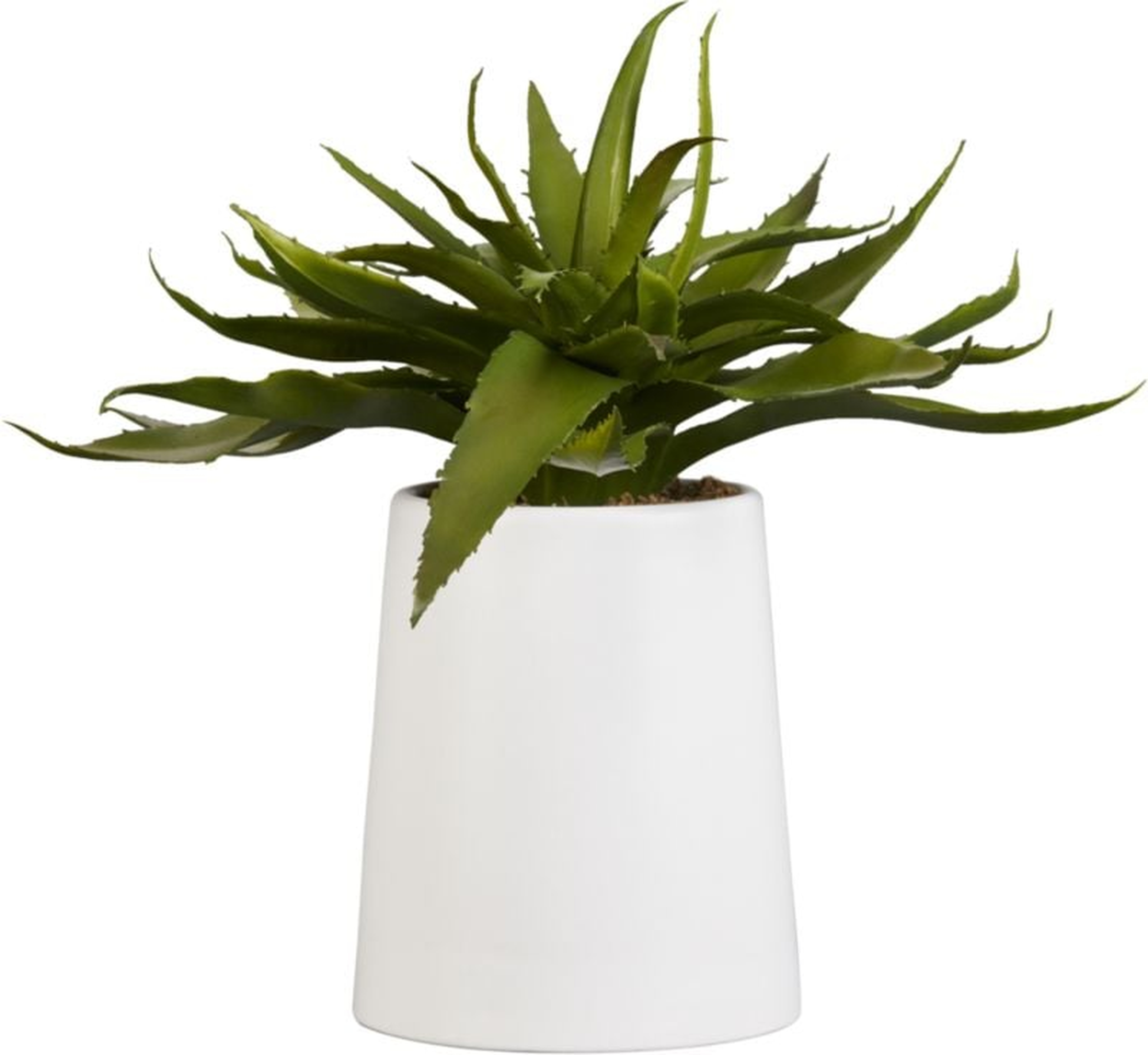 Potted Faux Aloe, 9" - CB2