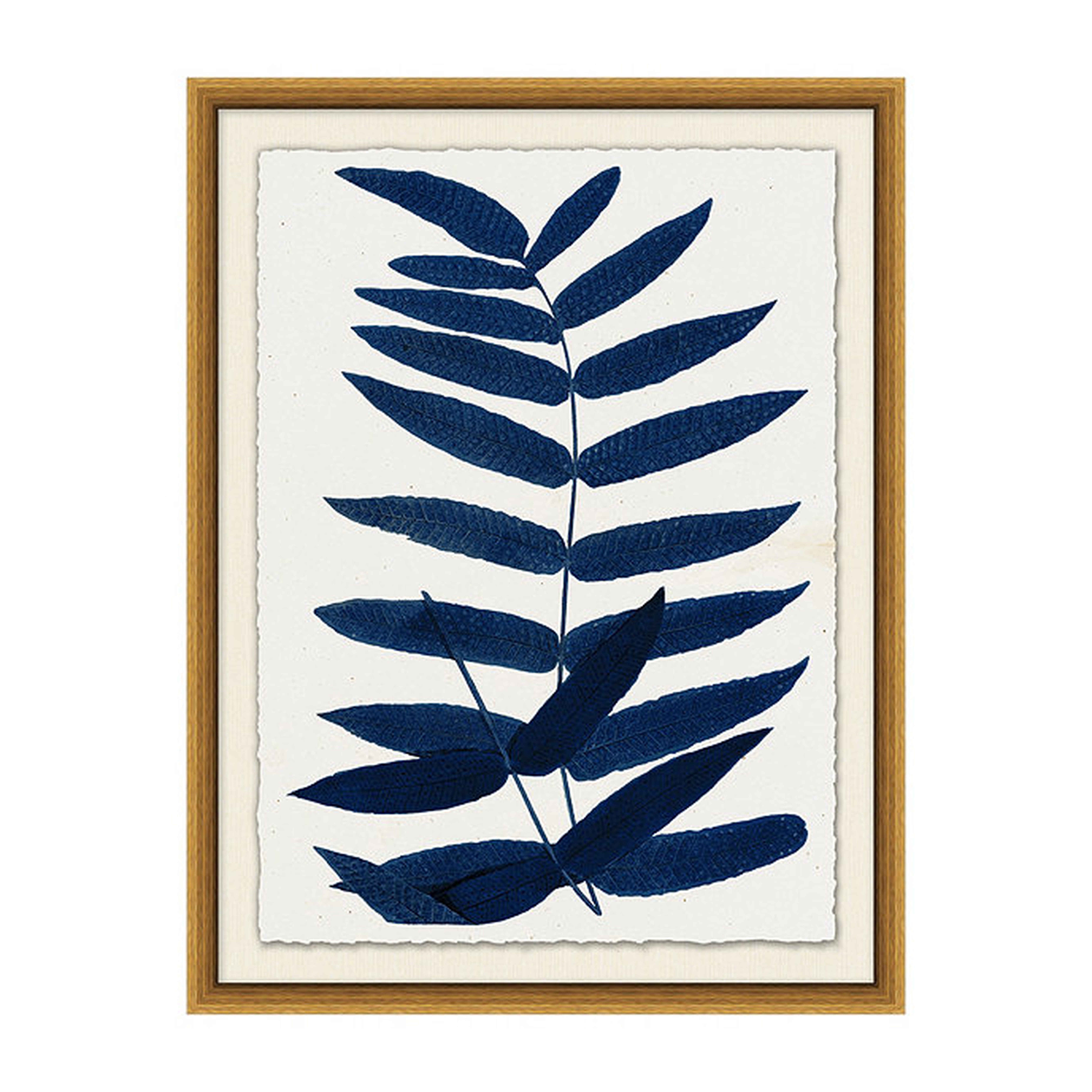 Fern Leaf Art VI - Ballard Designs