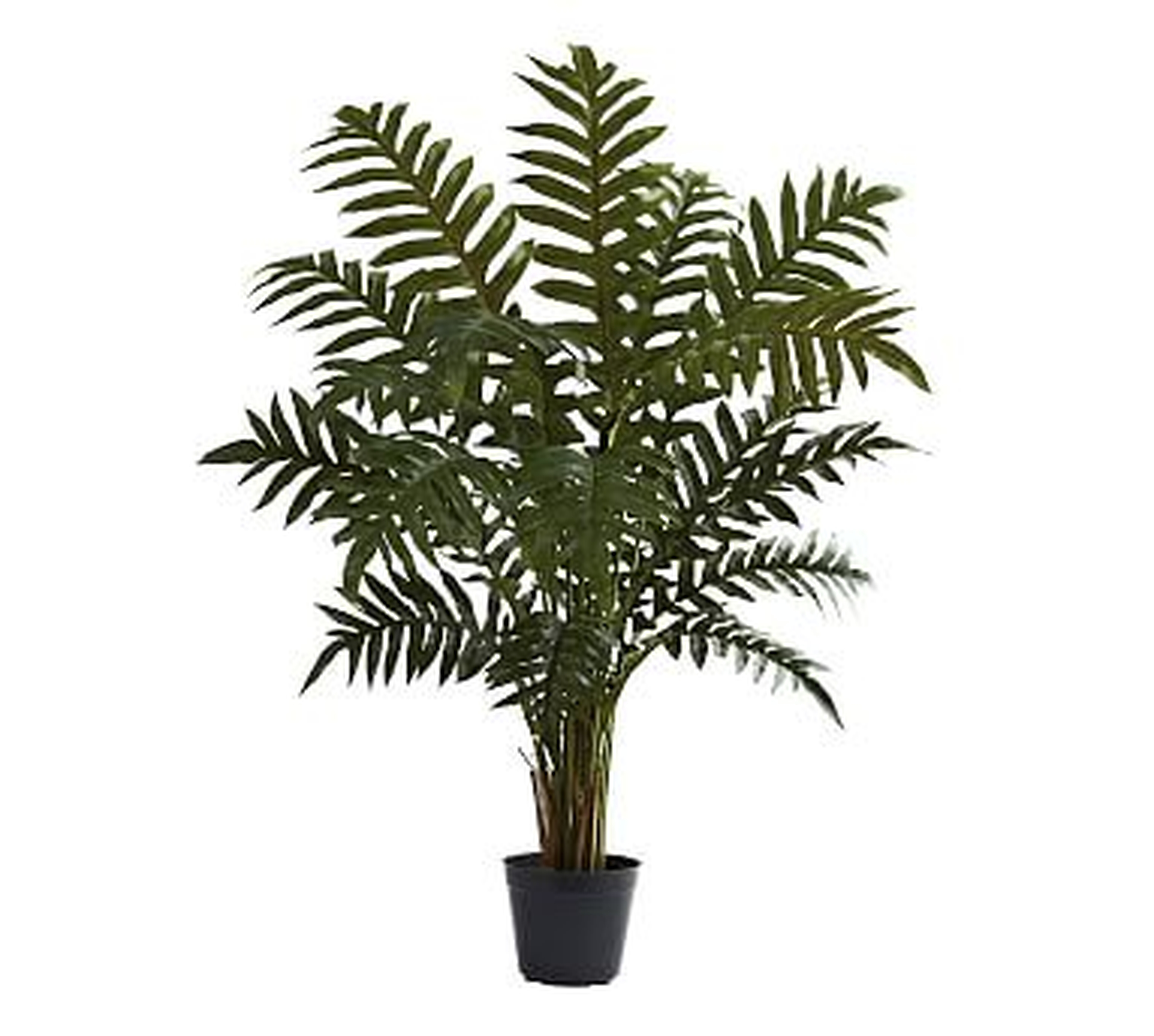 Faux Potted Evergreen Plant - Pottery Barn