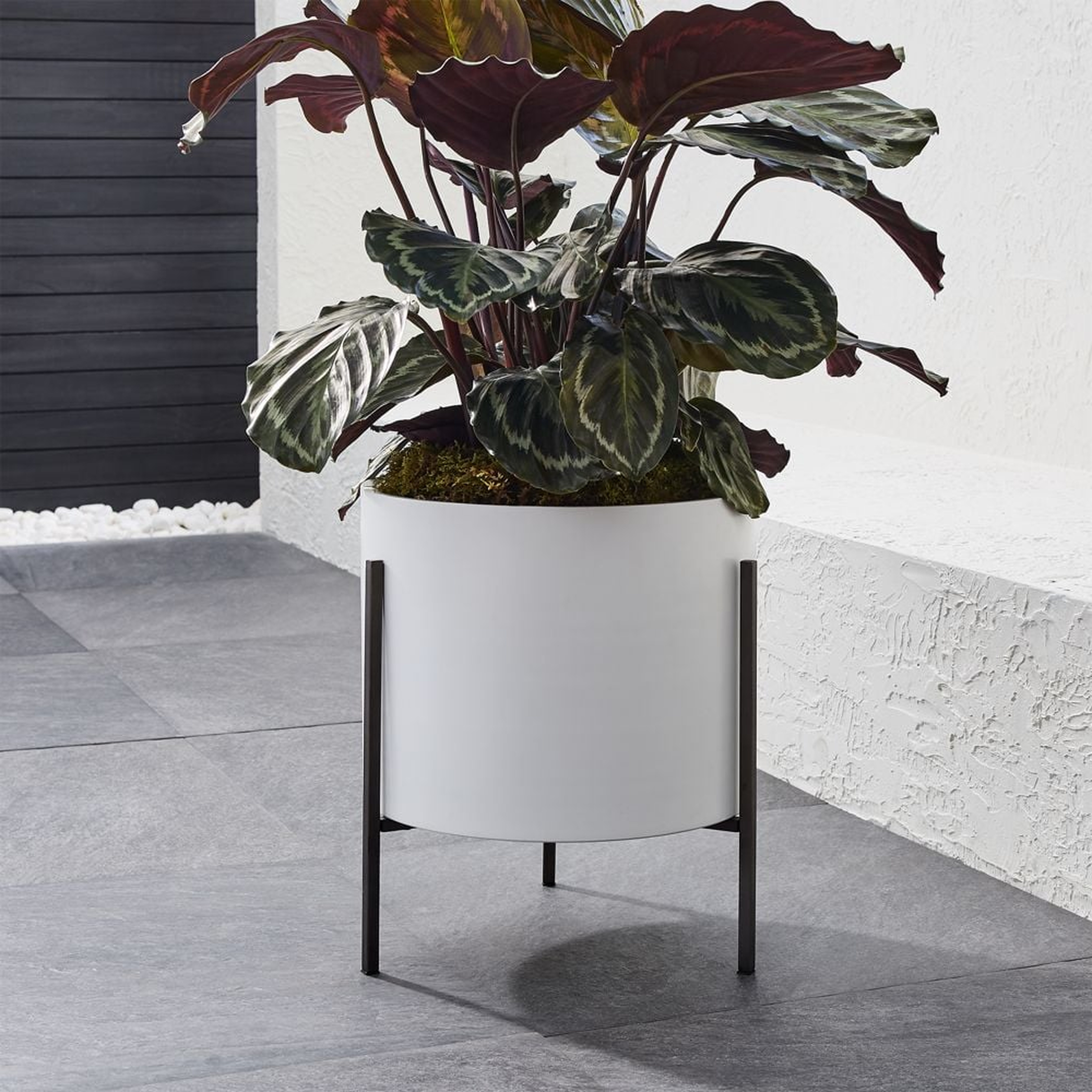 Dundee Indoor/Outdoor Low White Planter with Stand - Crate and Barrel