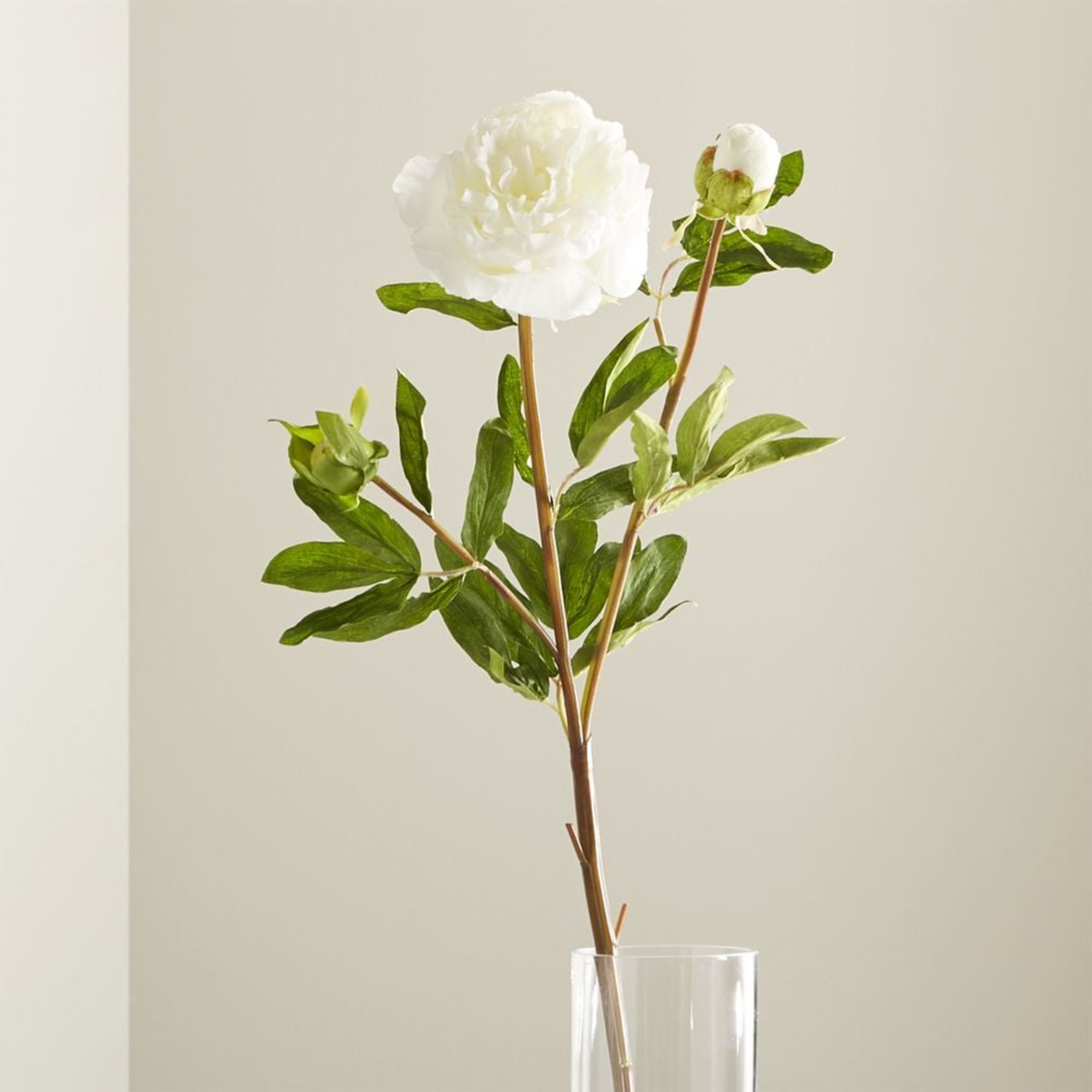 Artificial White Peony Flower Stem - Crate and Barrel