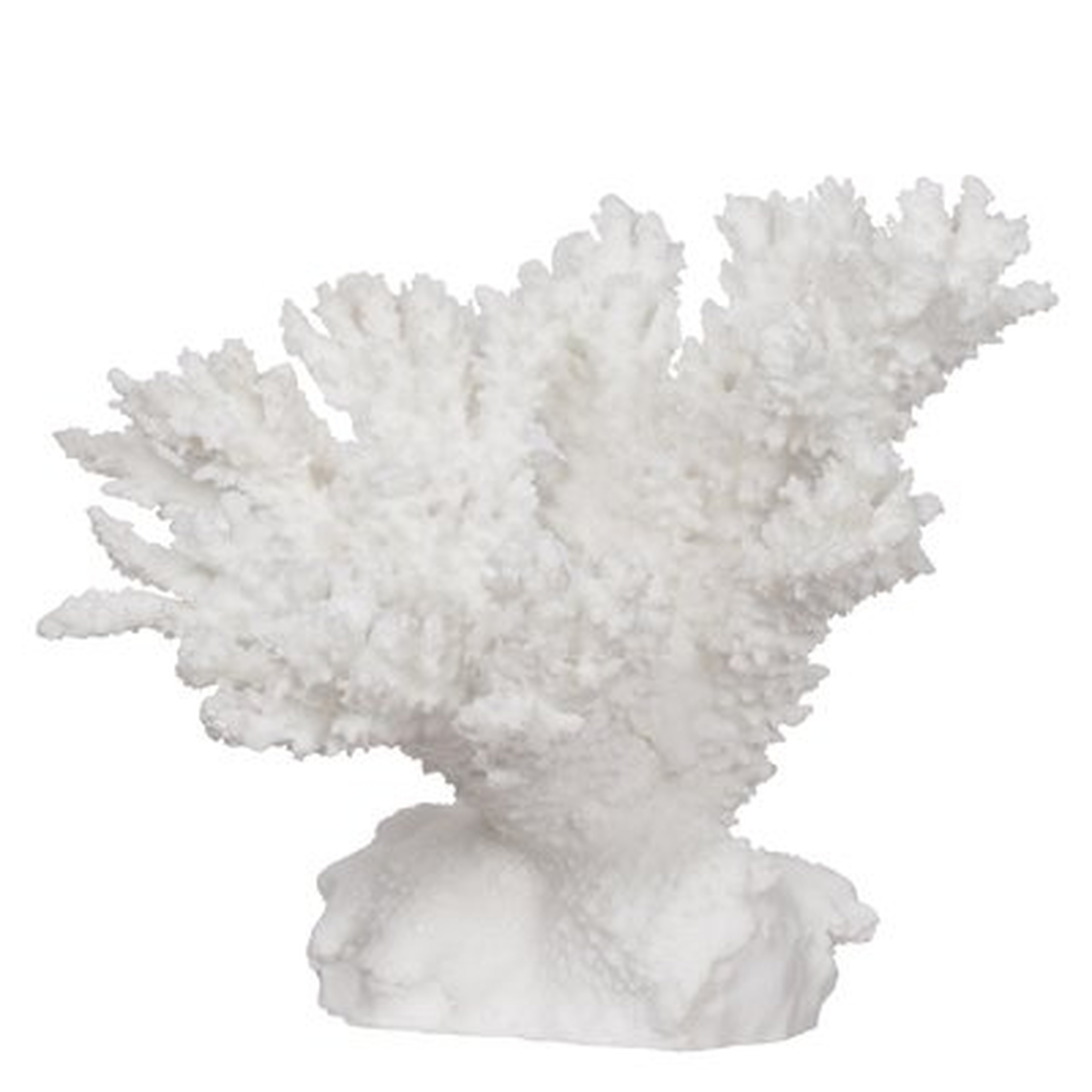 Hodder Coral Sculpture - Wayfair