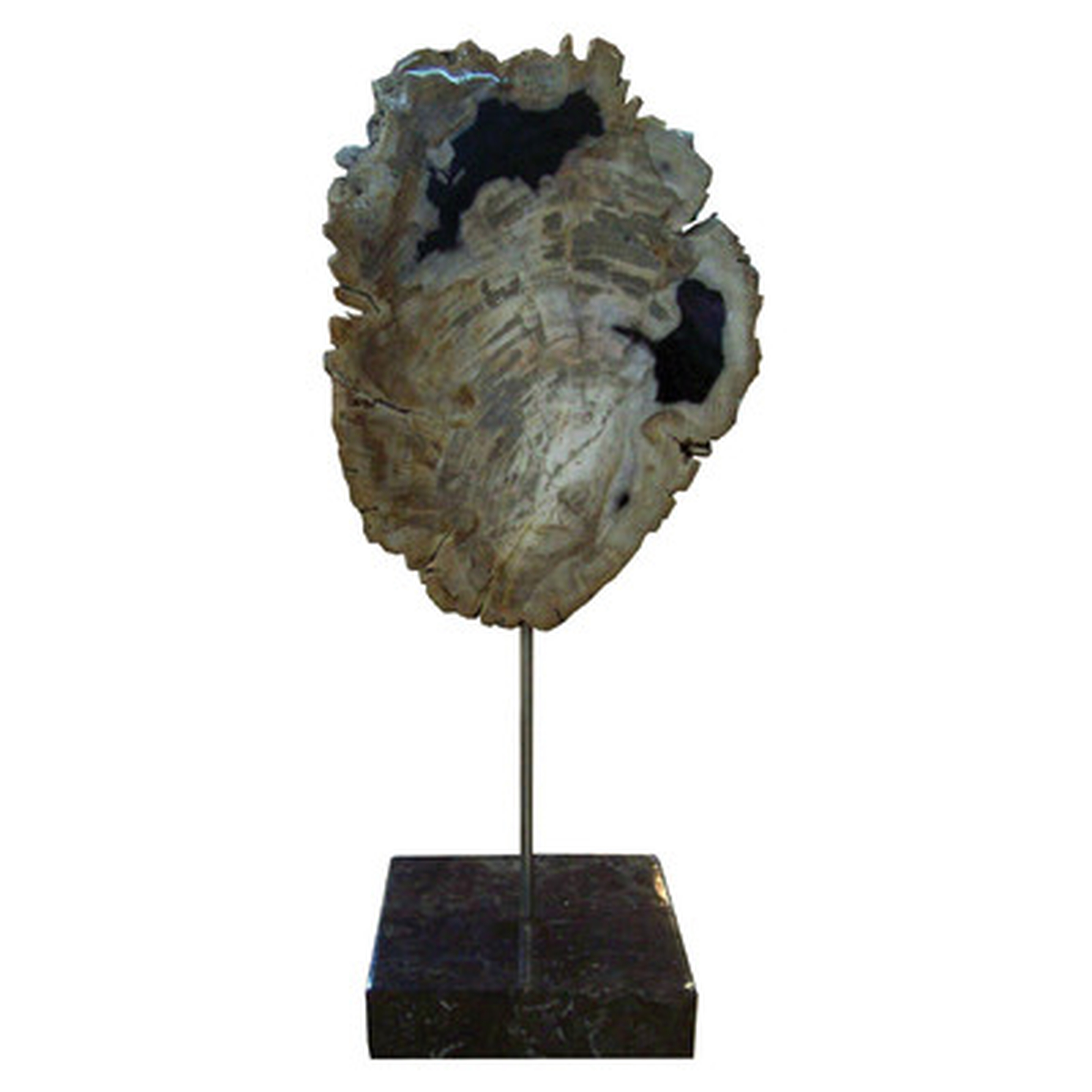 Petrified Wood Sculpture - Wayfair
