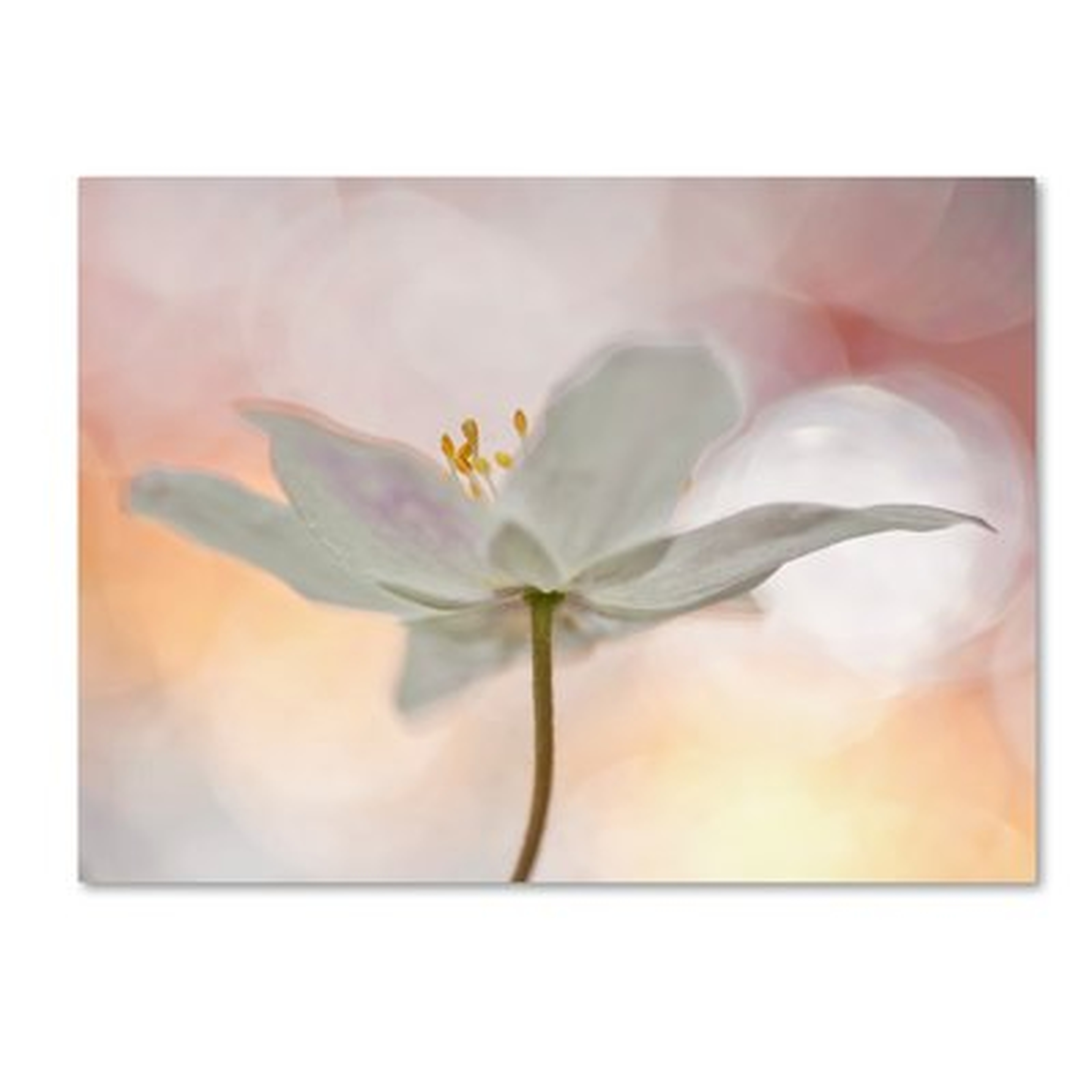 'A Sip Of Art' Graphic Art on Wrapped Canvas - Wayfair