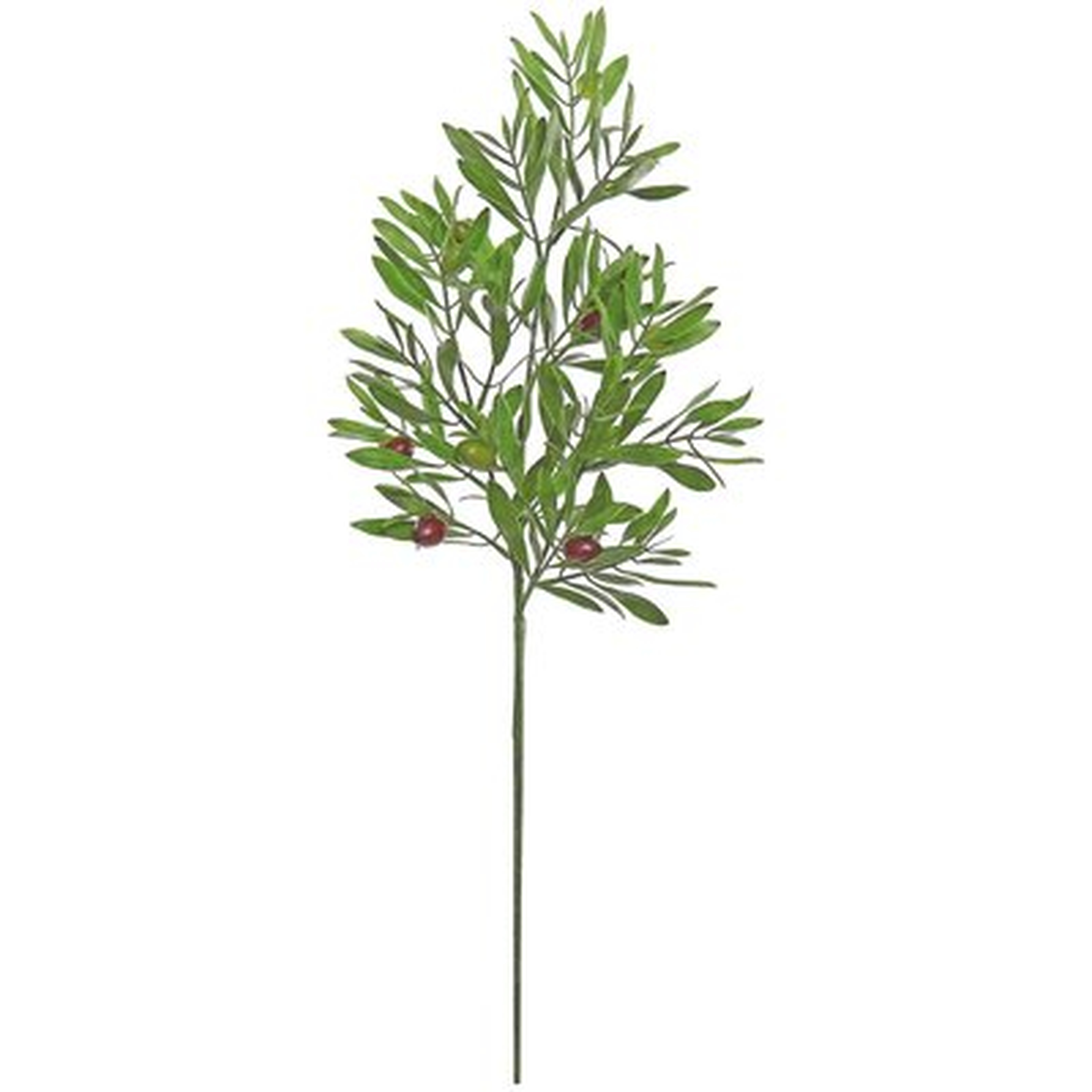 2 Piece Olive Flowering Branch - Birch Lane
