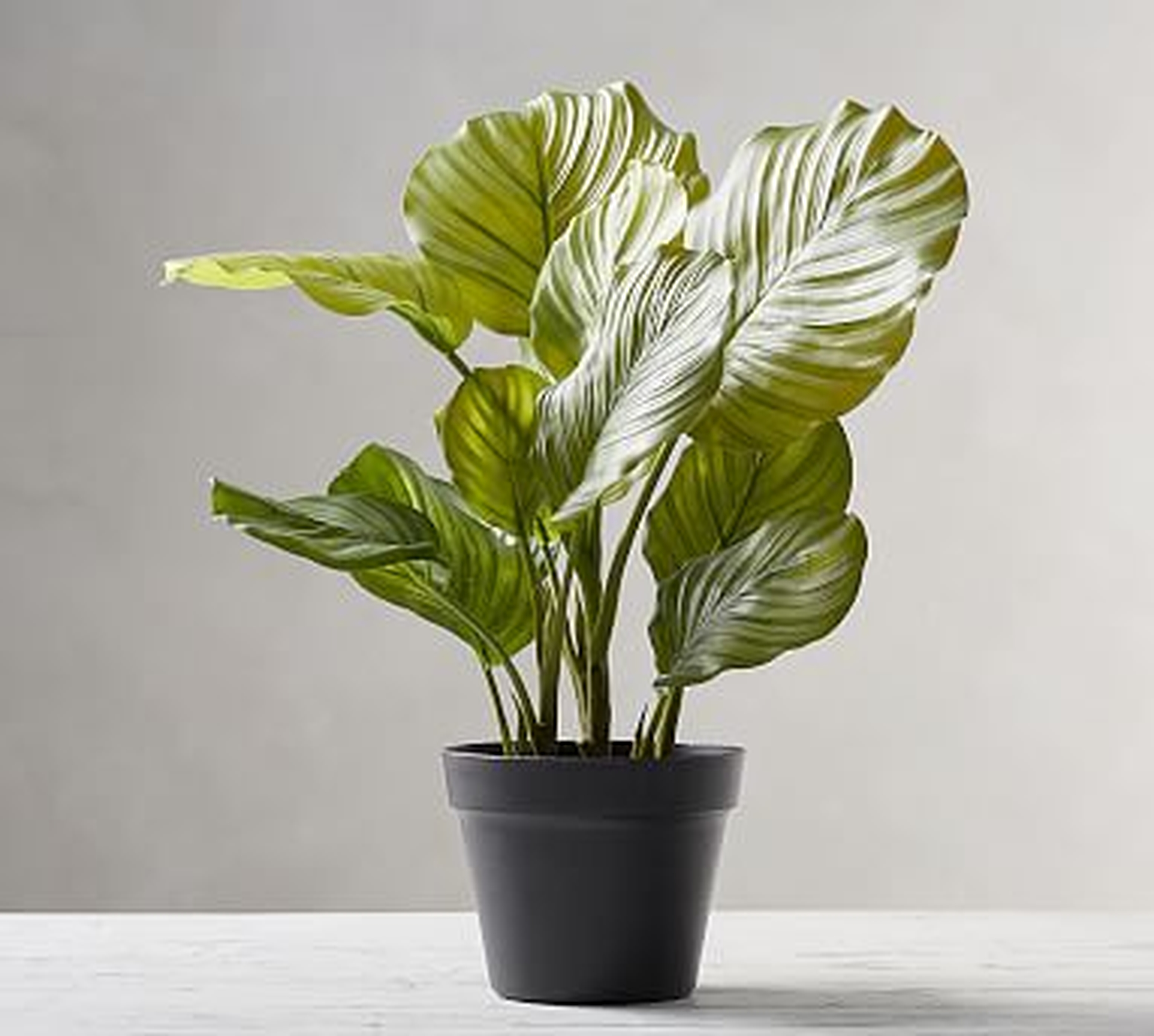 Faux Potted Greater Burdock Houseplant - Pottery Barn