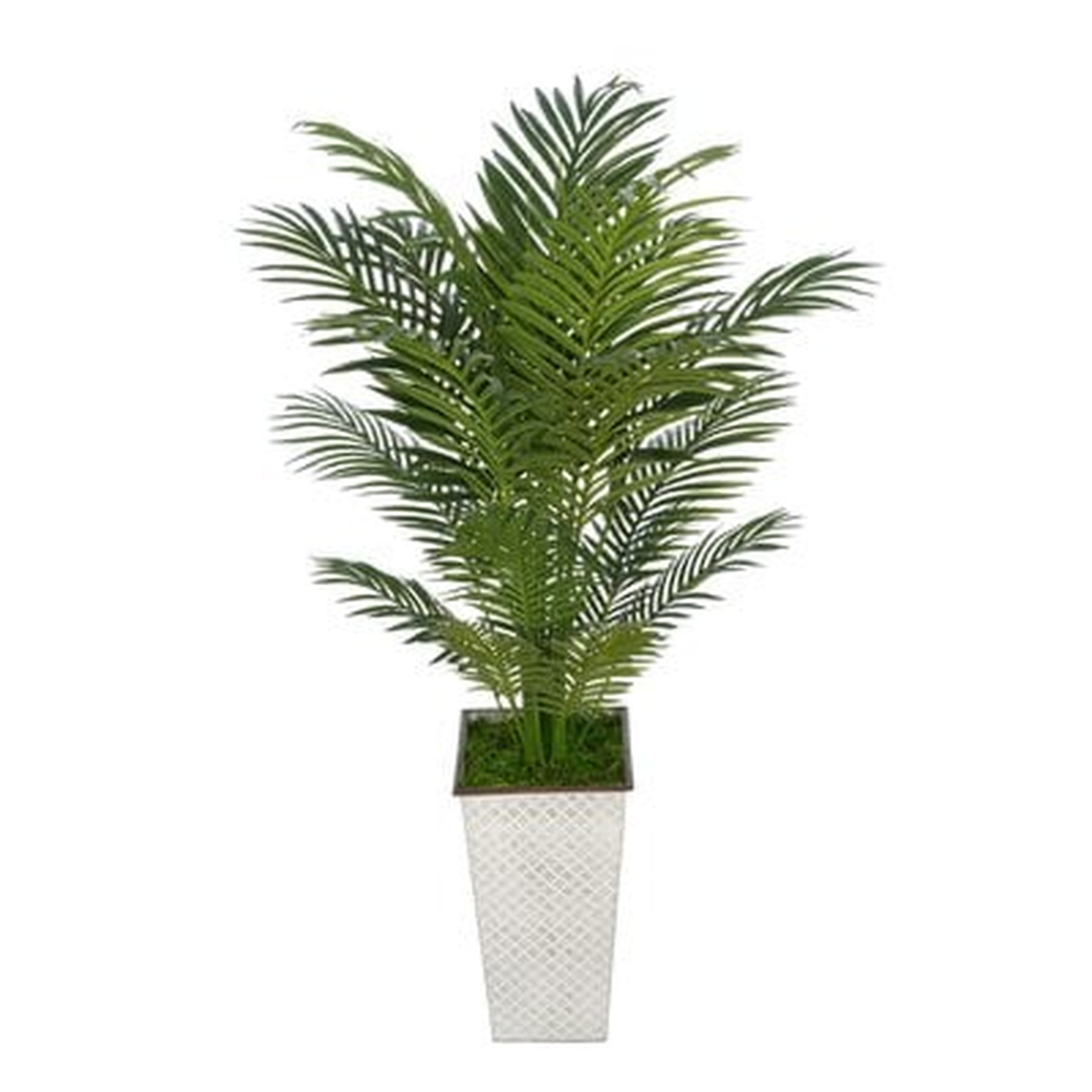 Artificial Floor Areca Palm Tree in Decorative Vase - Wayfair