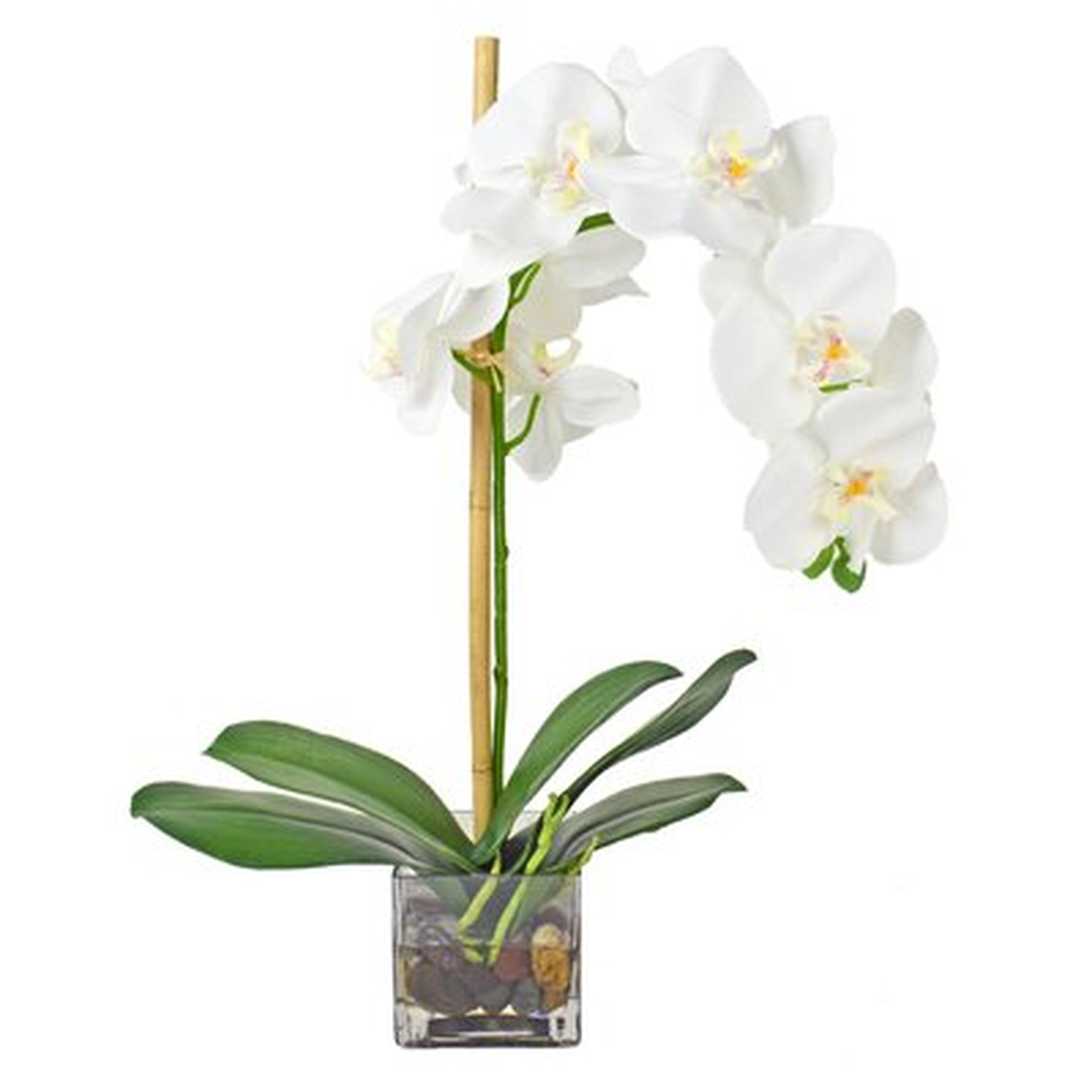 Faux Phalaenopsis Orchid Floral Arrangement in Acrylic Glass Vase - AllModern