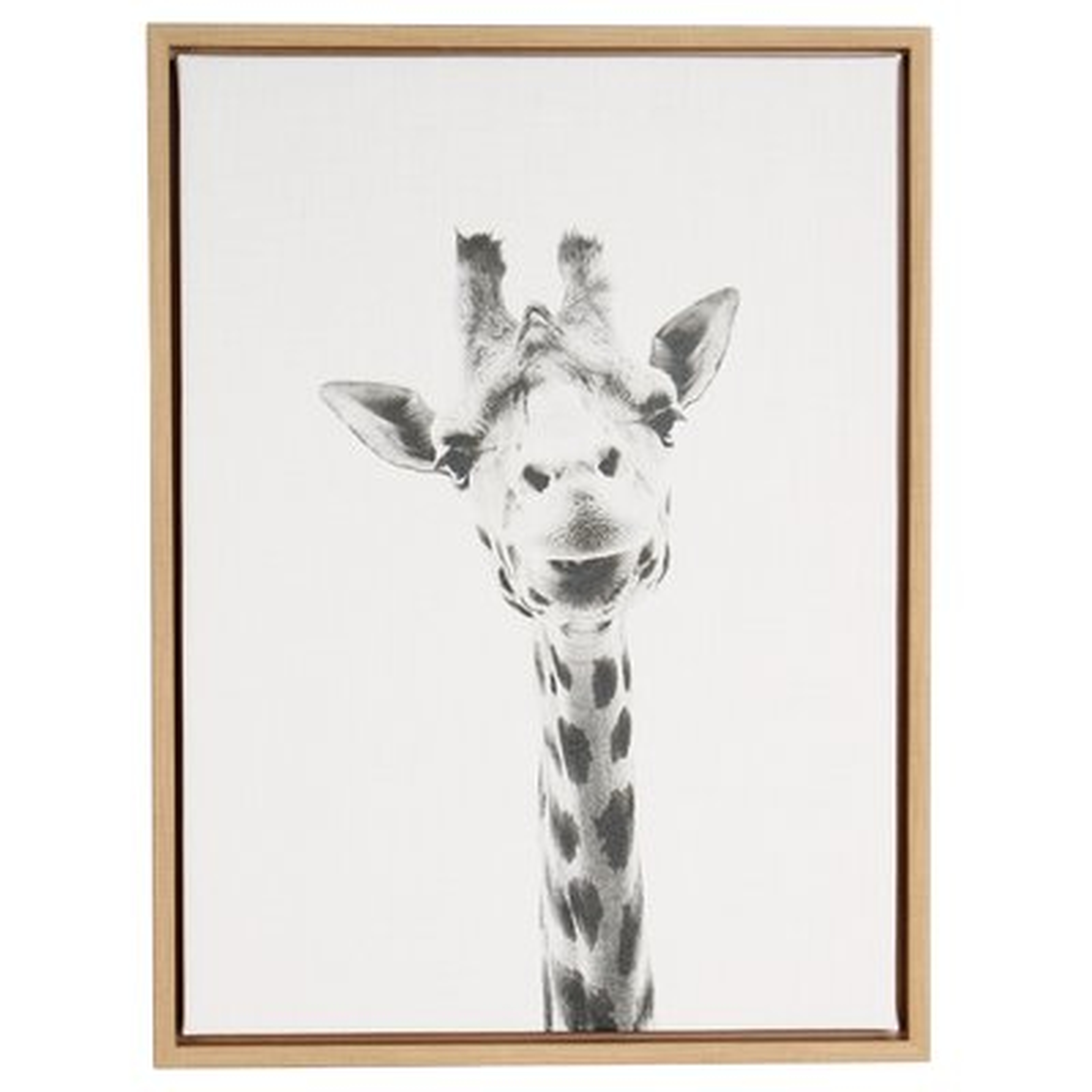 'Giraffe Portrait' Framed Graphic Art Print on Canvas - AllModern