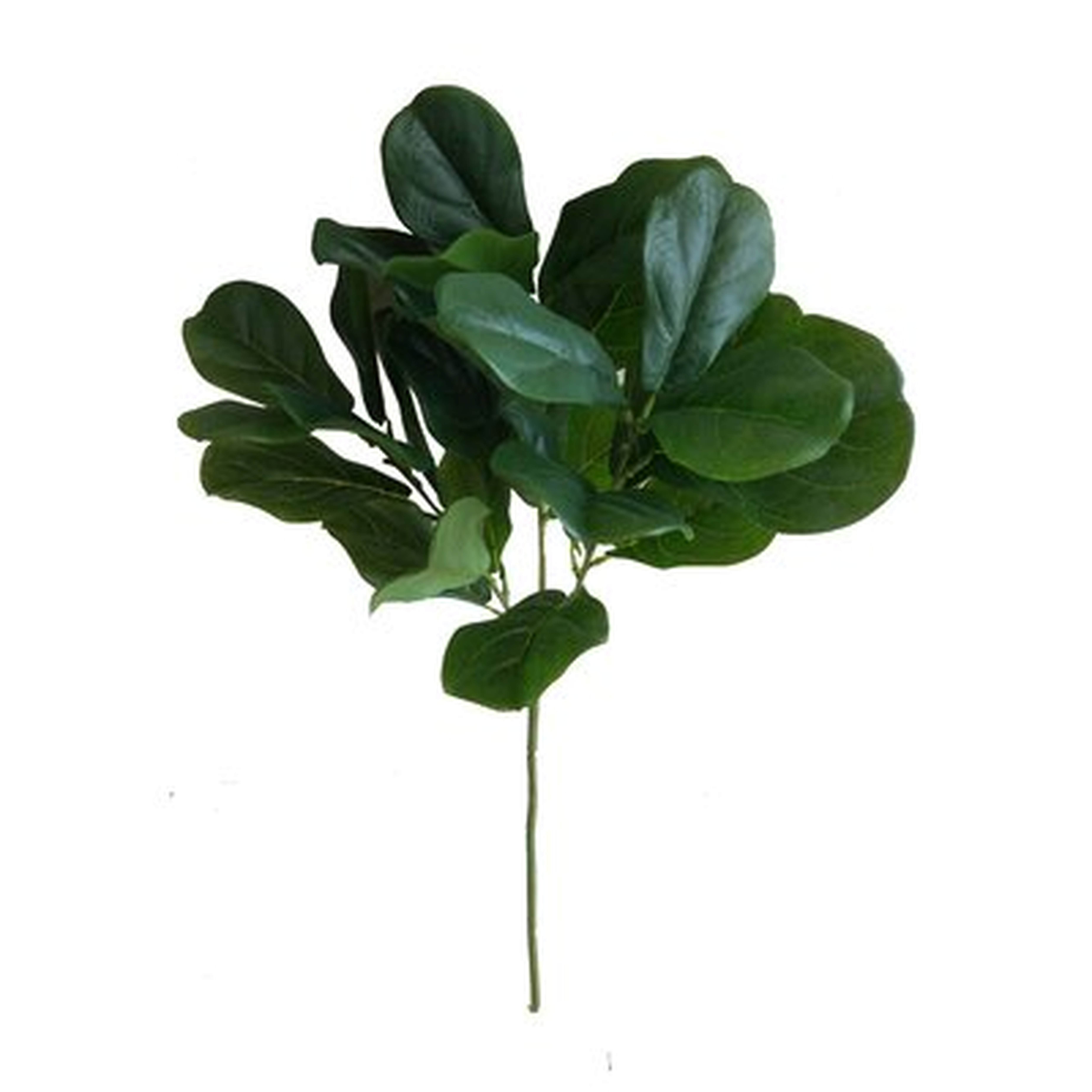 Fiddle Leaf Branch - Wayfair