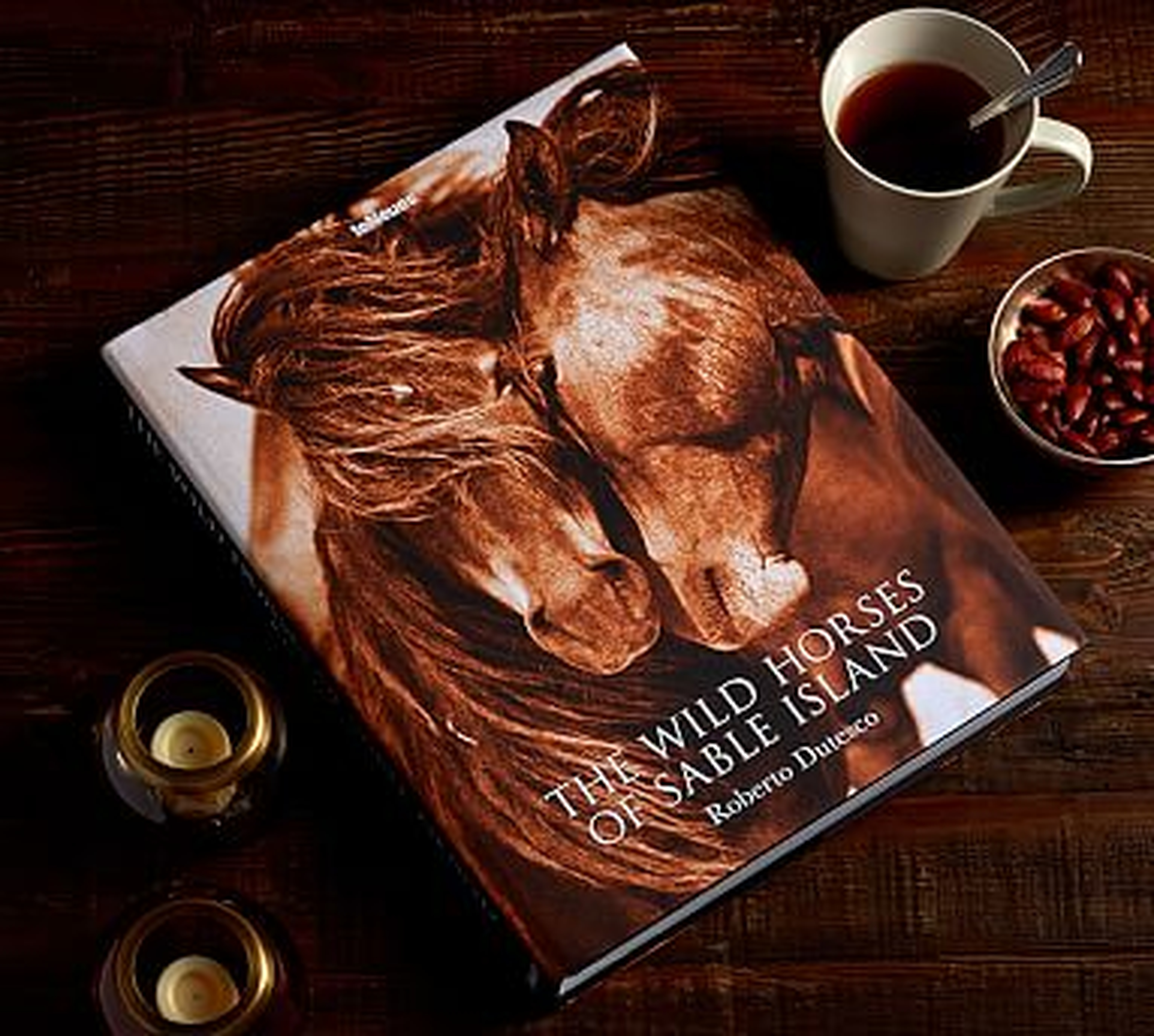 The Wild Horses Of Sable Island Book - Pottery Barn