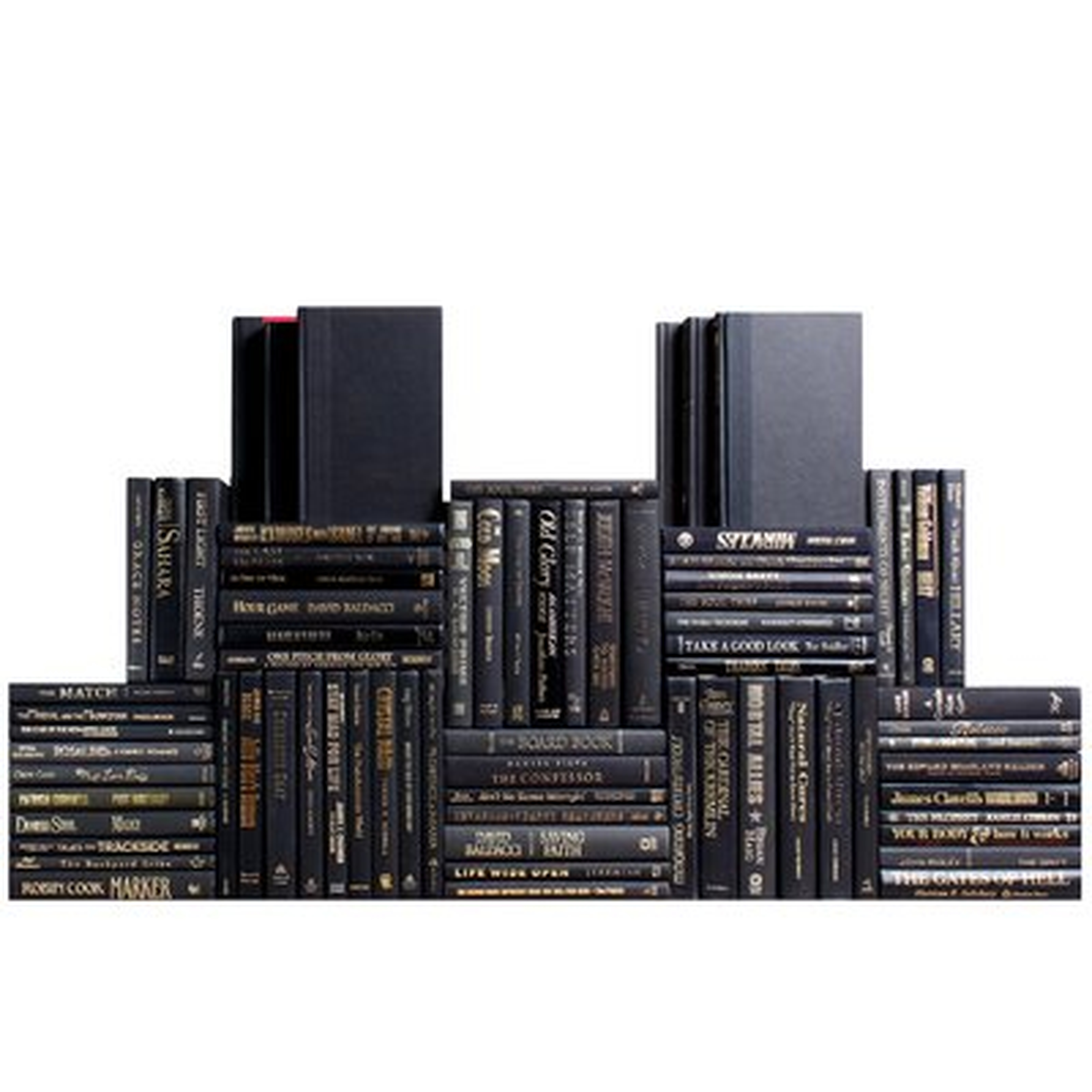 Authentic Decorative Books - By Color Modern Luxe Book Wall, Set of 75 (7.5 Linear Feet) - Wayfair
