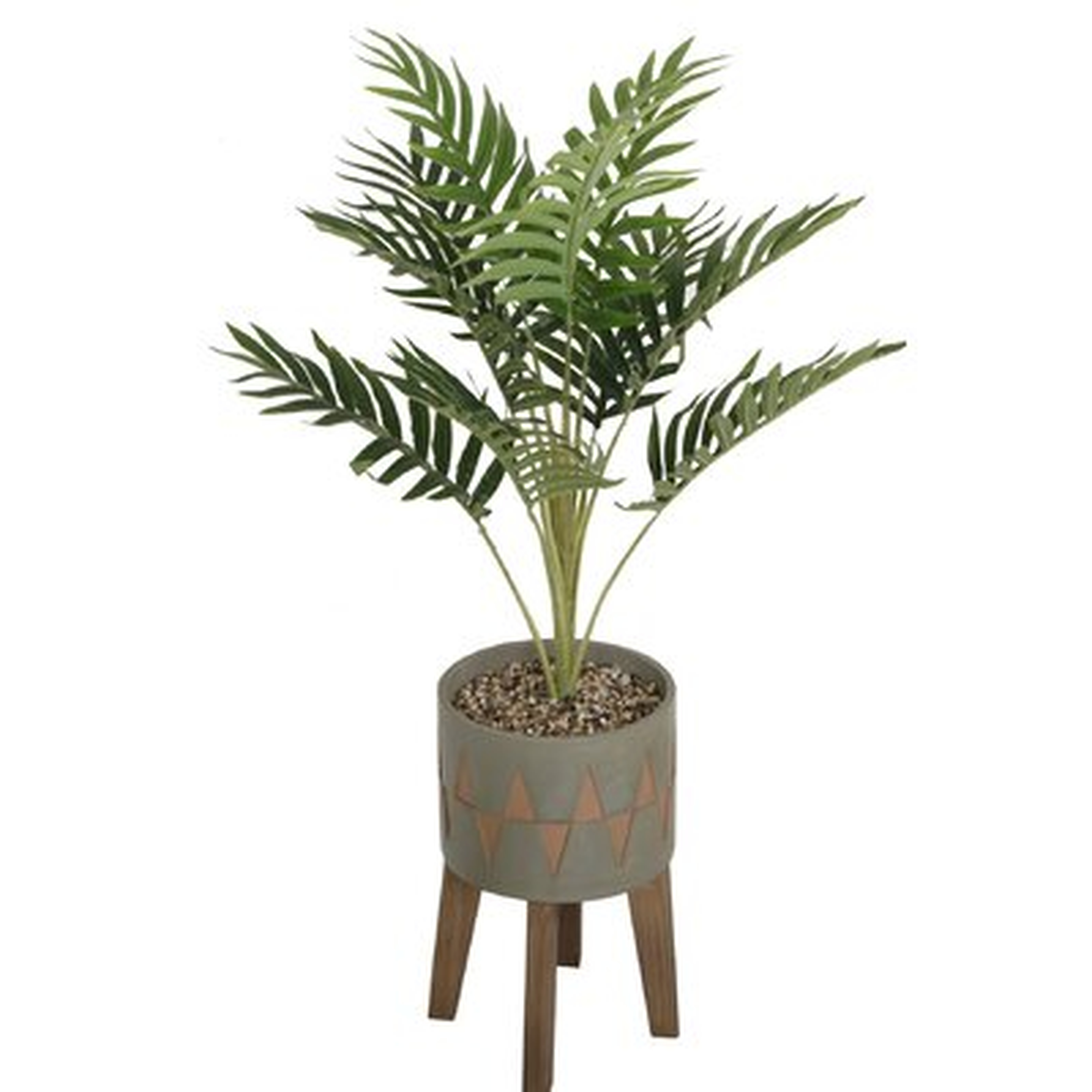 Palm Tree in Planter - Wayfair