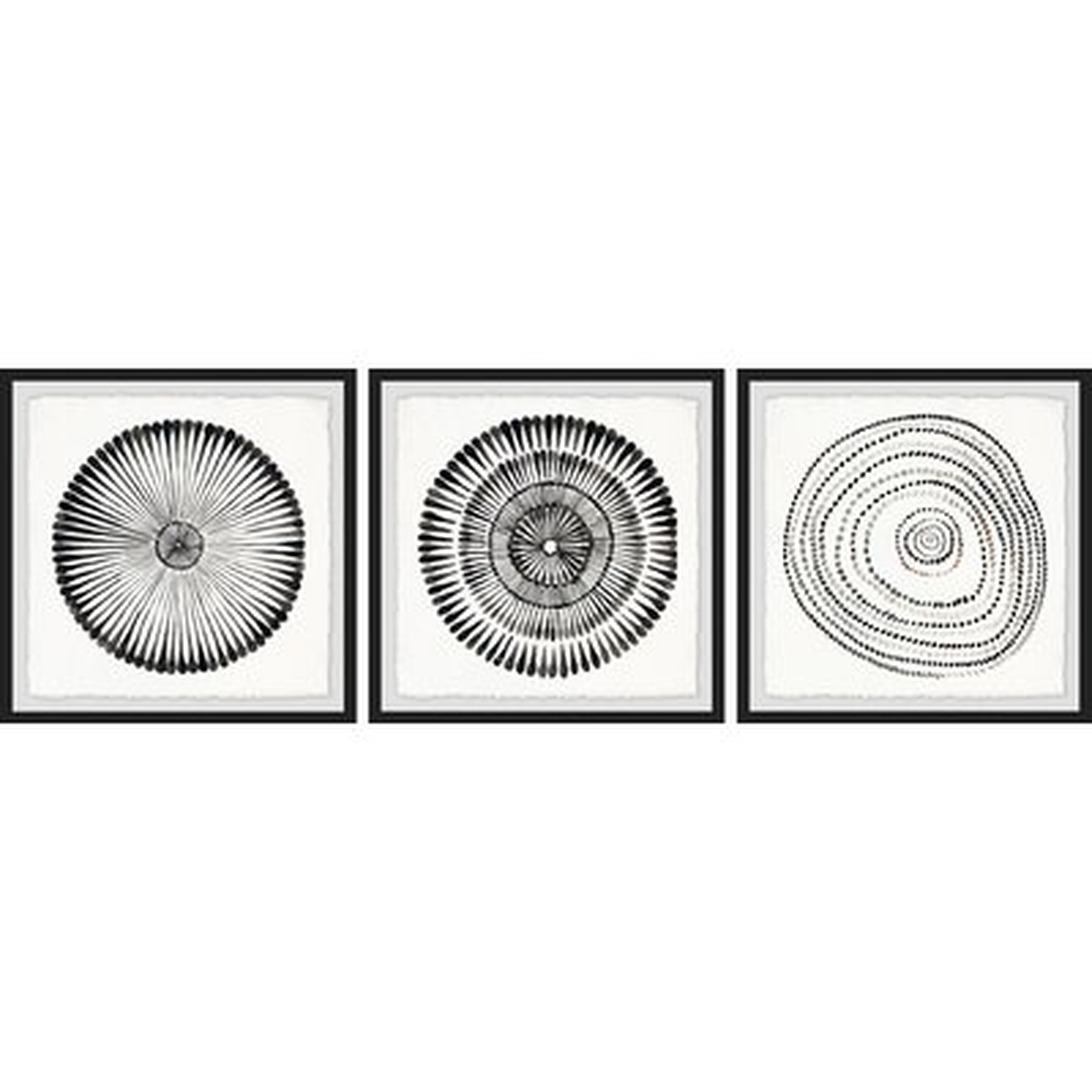 'Circle Bloom Triptych' 3 Piece Framed Watercolor Painting Print Set - Wayfair