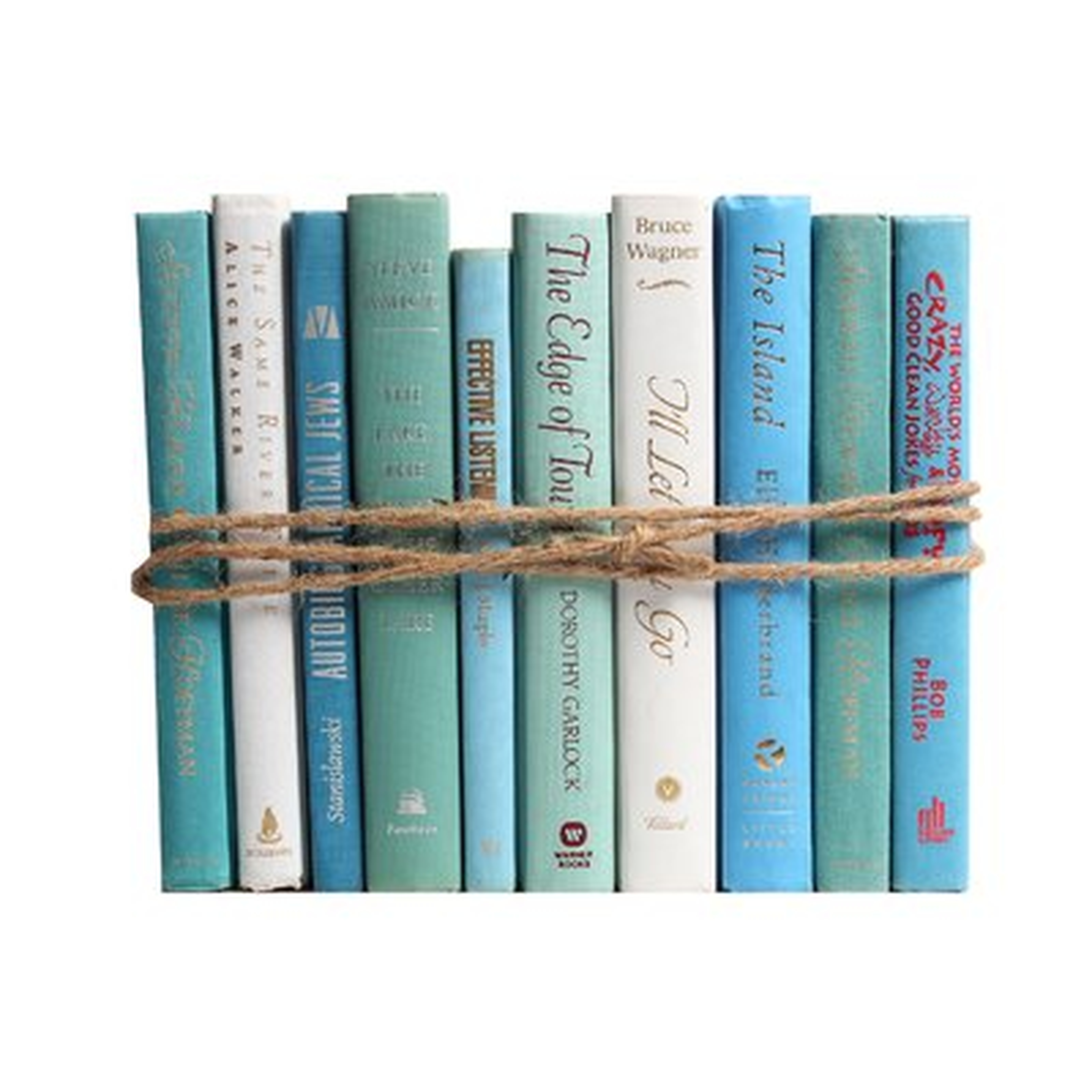 Authentic Decorative Books - By Color Modern Ocean ColorPak (1 Linear Foot, 10-12 Books) - Wayfair