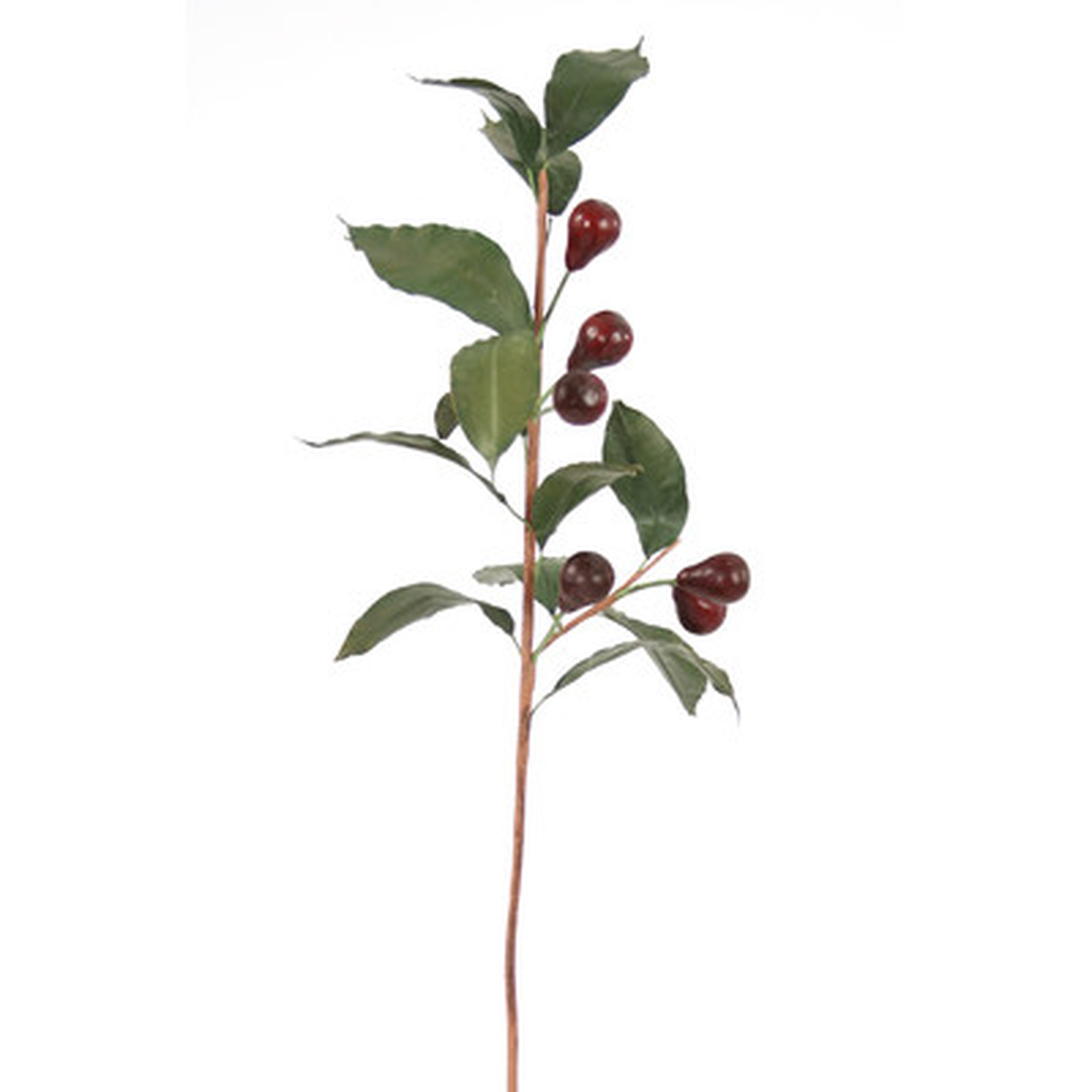 DIY Foliage Olive Branch Tree (Set of 6) - Wayfair