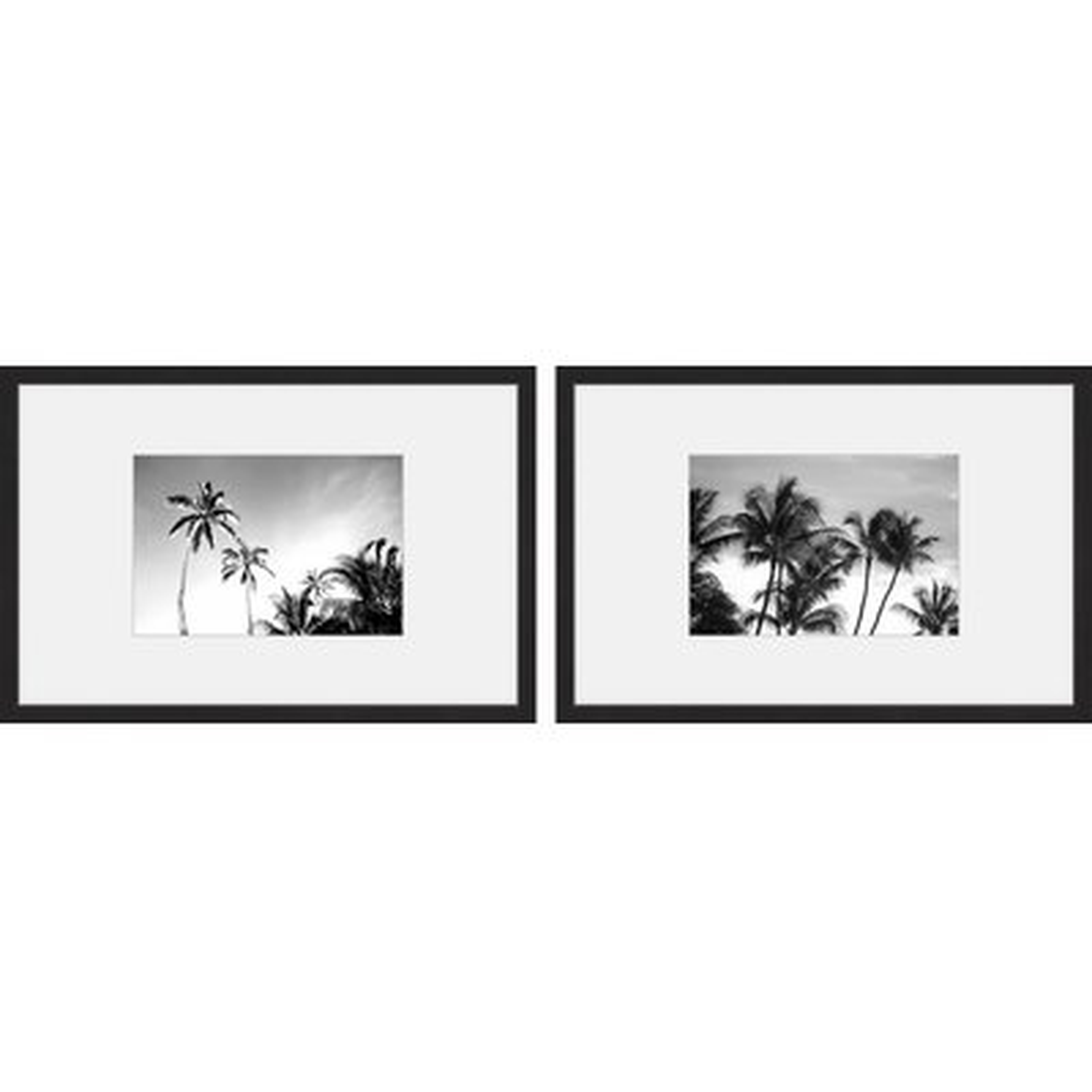 'Palm Views Diptych' 2 Piece Framed Photographic Print Set - Wayfair