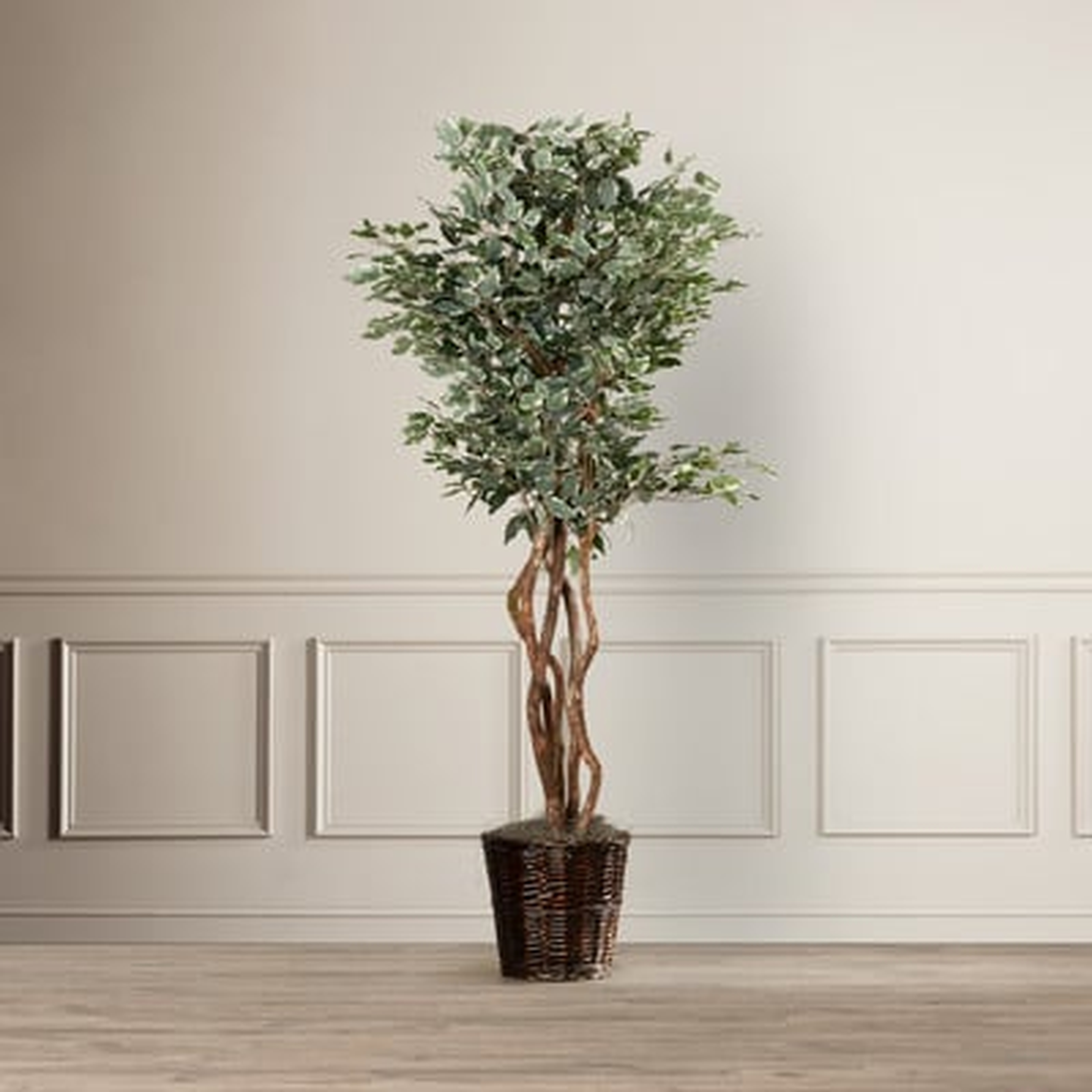 Artificial Potted Natural Variegated Ficus Tree in Basket - Birch Lane