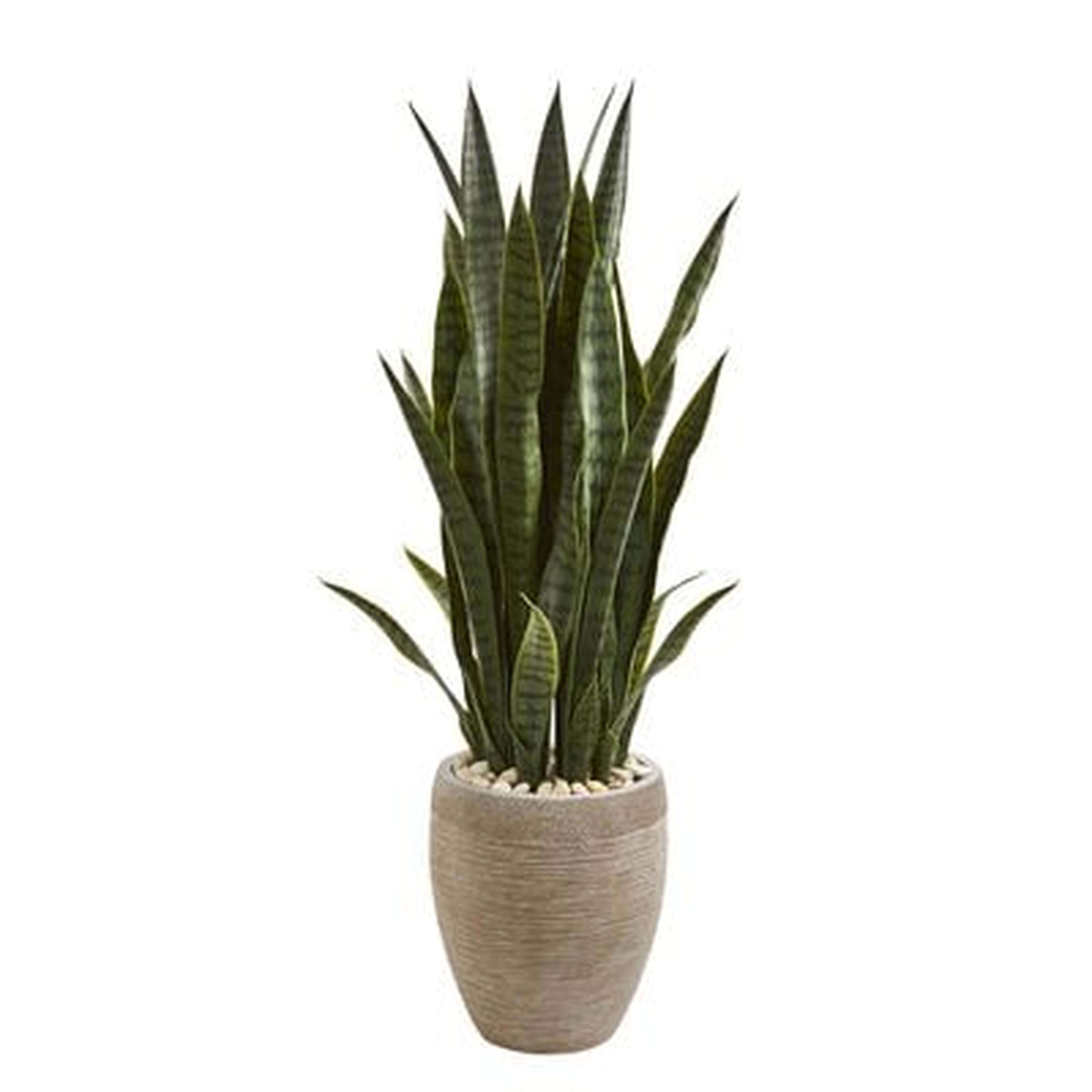 Sansevieria Artificial Snake Plant in Planter - Wayfair