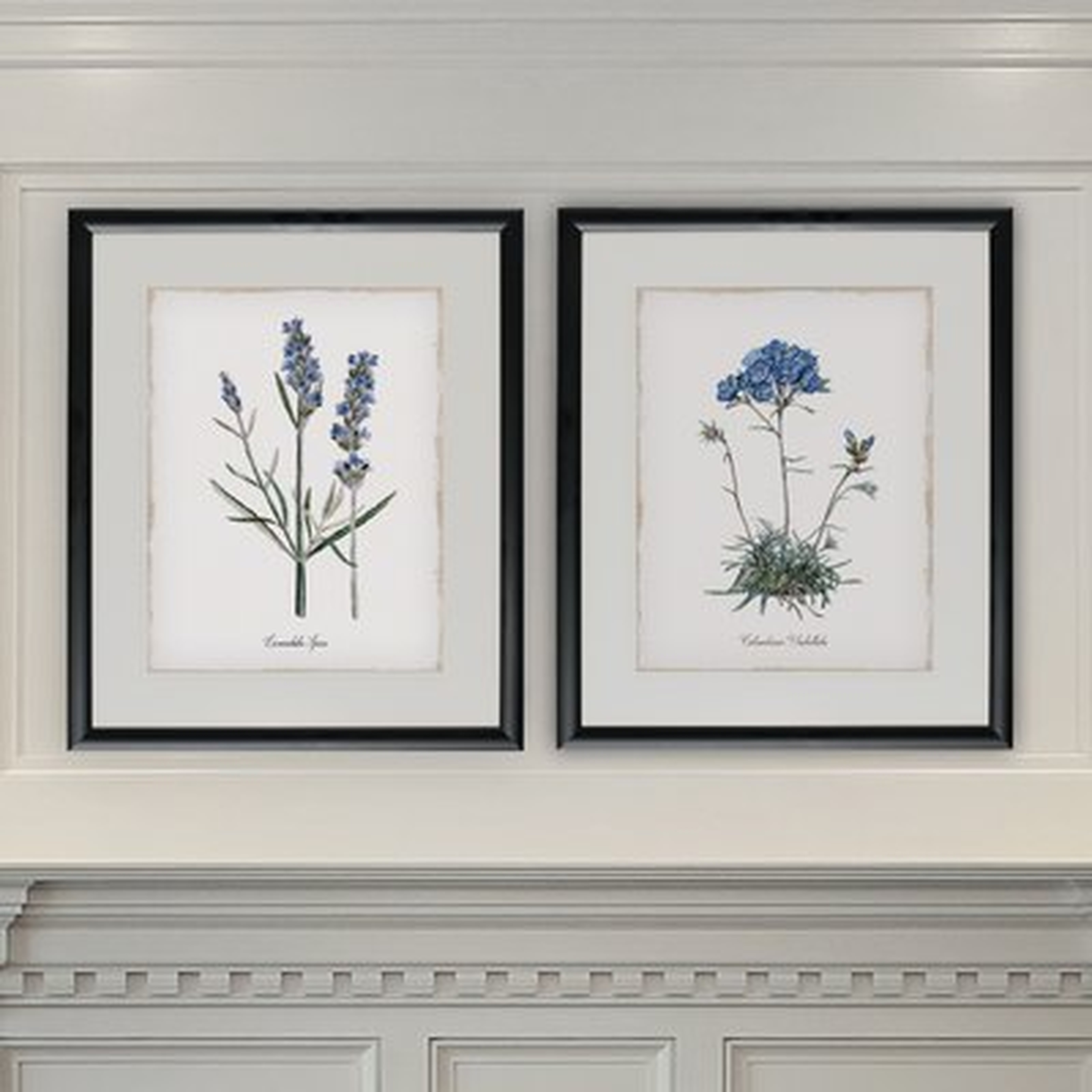 'Lavender' 2 Piece Framed Graphic Art Print Set - Birch Lane