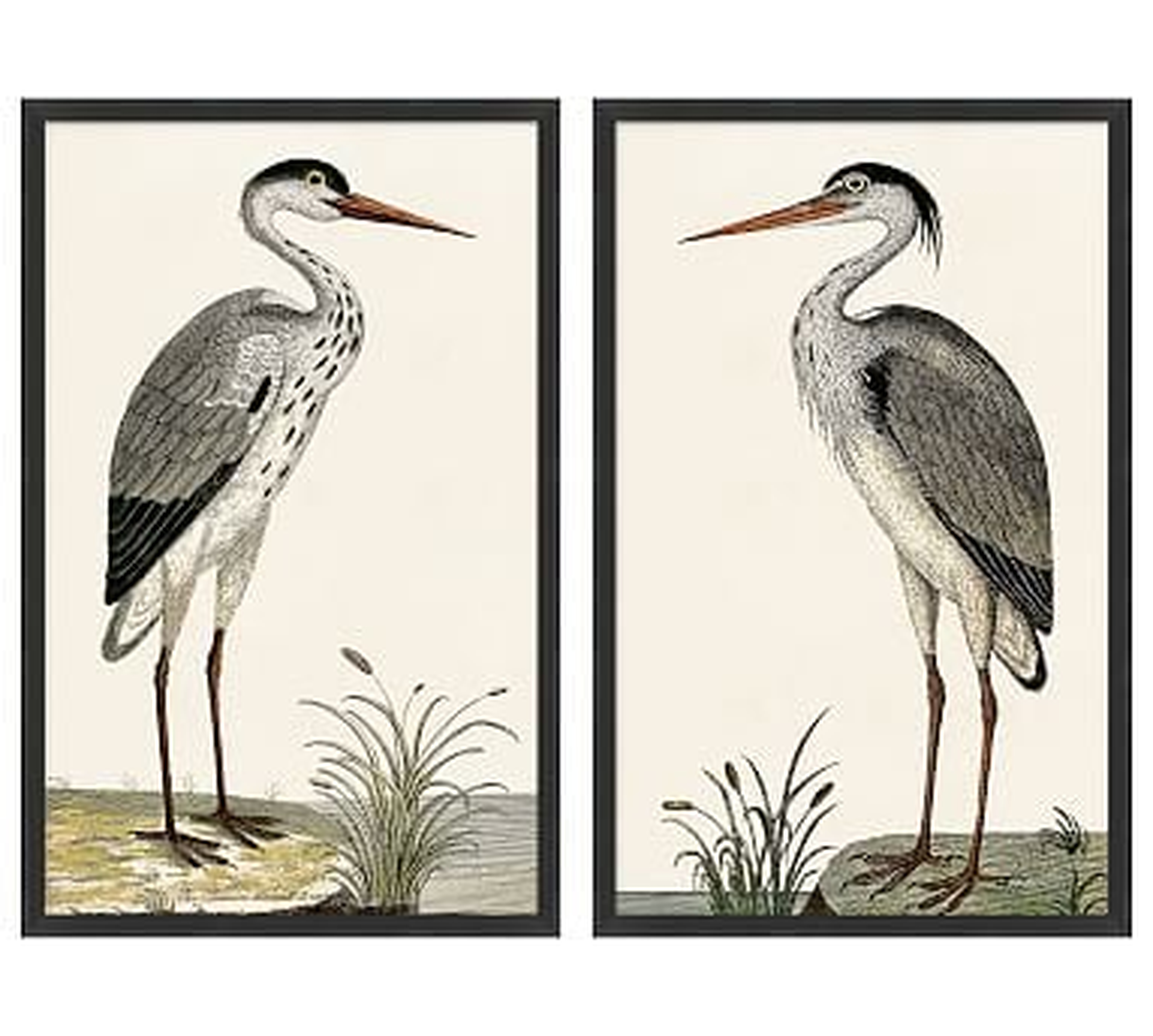Spotted Herons - Set of 2 - Pottery Barn