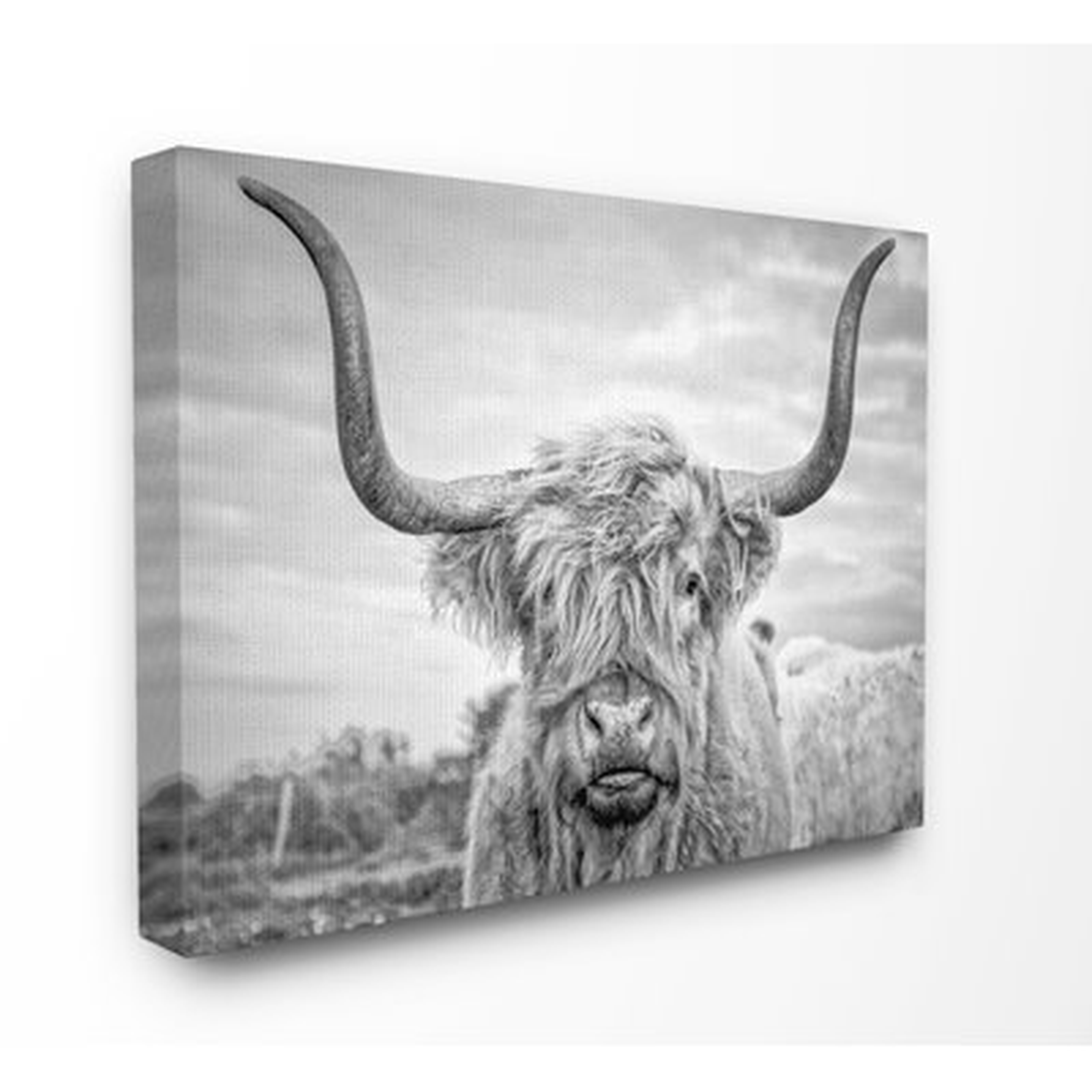 Highland Cow - Picture Frame Photograph Print on Canvas - AllModern