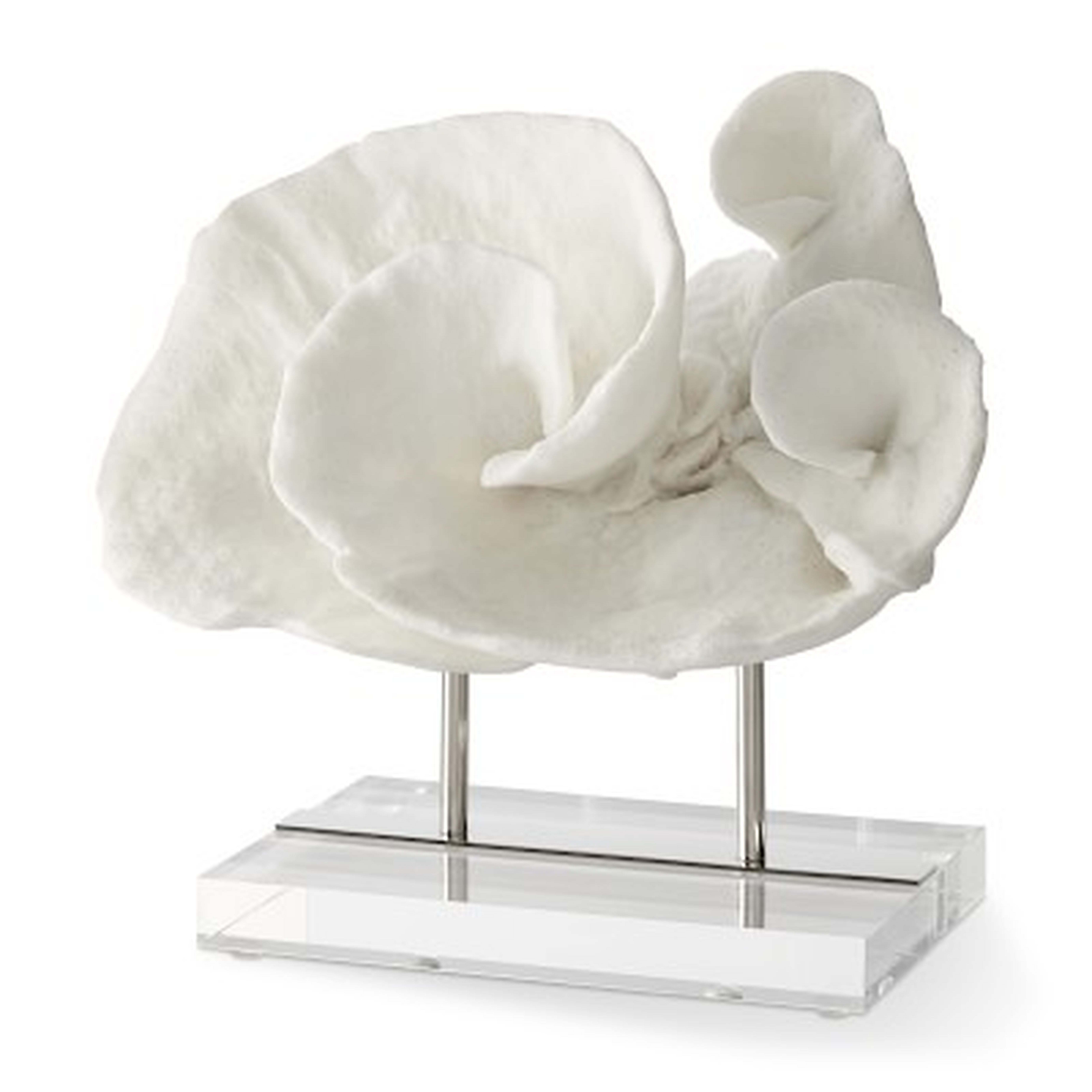 Sea Life Object On Stand, Coral - Williams Sonoma