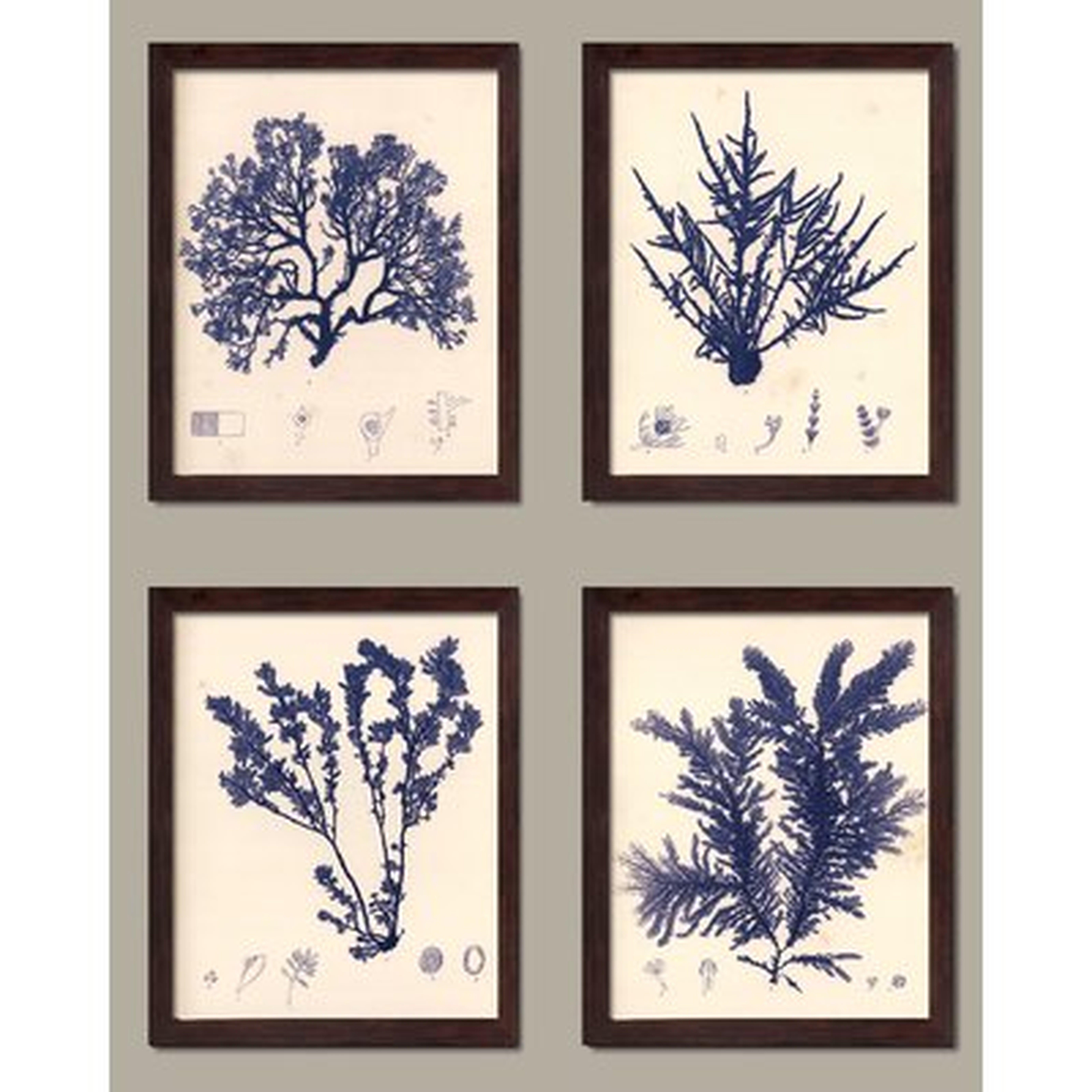 'Blue Botanical Study I Lovely Vintage Flowers' Graphic Art Print Set on Paper - Birch Lane