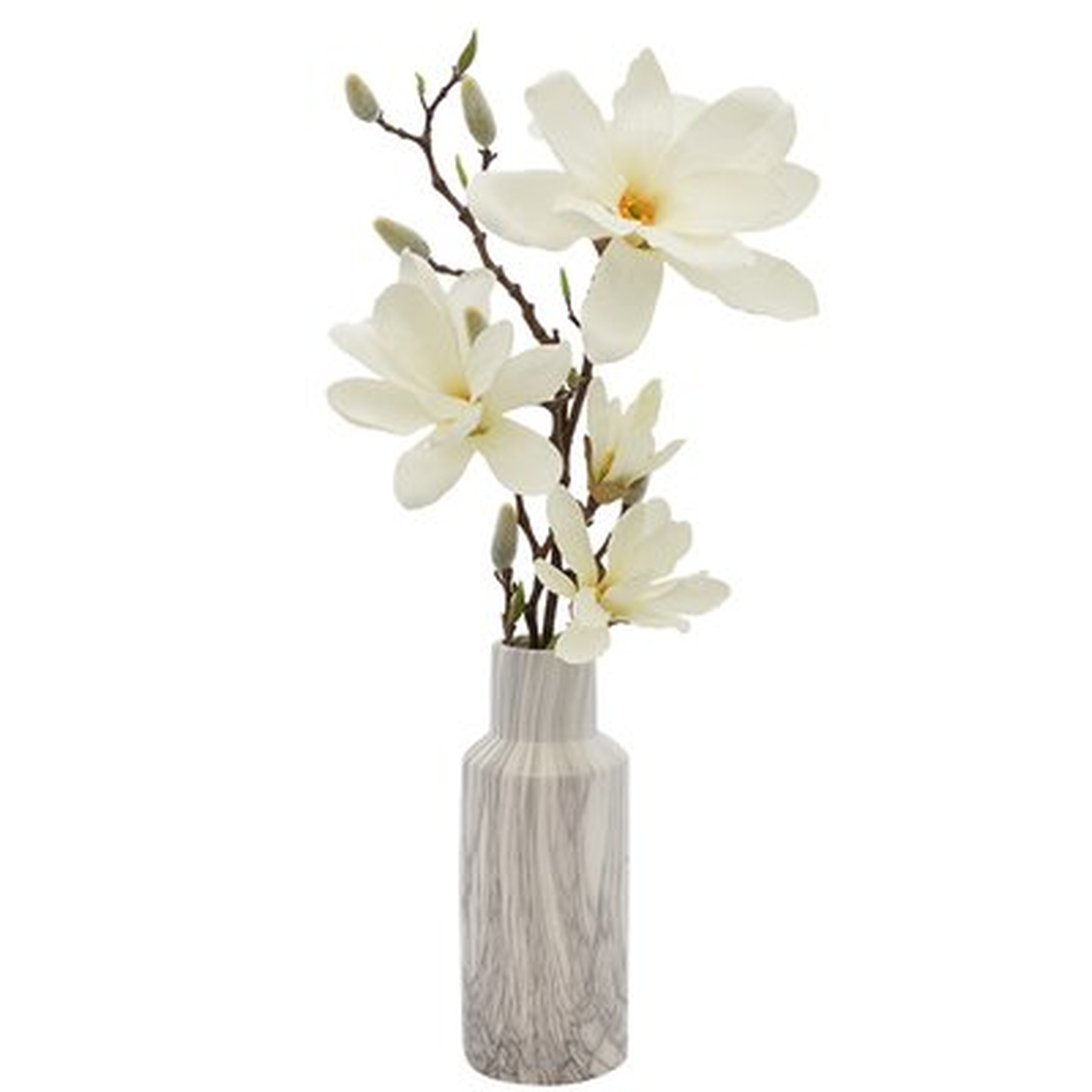 Magnolia Floral Arrangements in Vase - Birch Lane