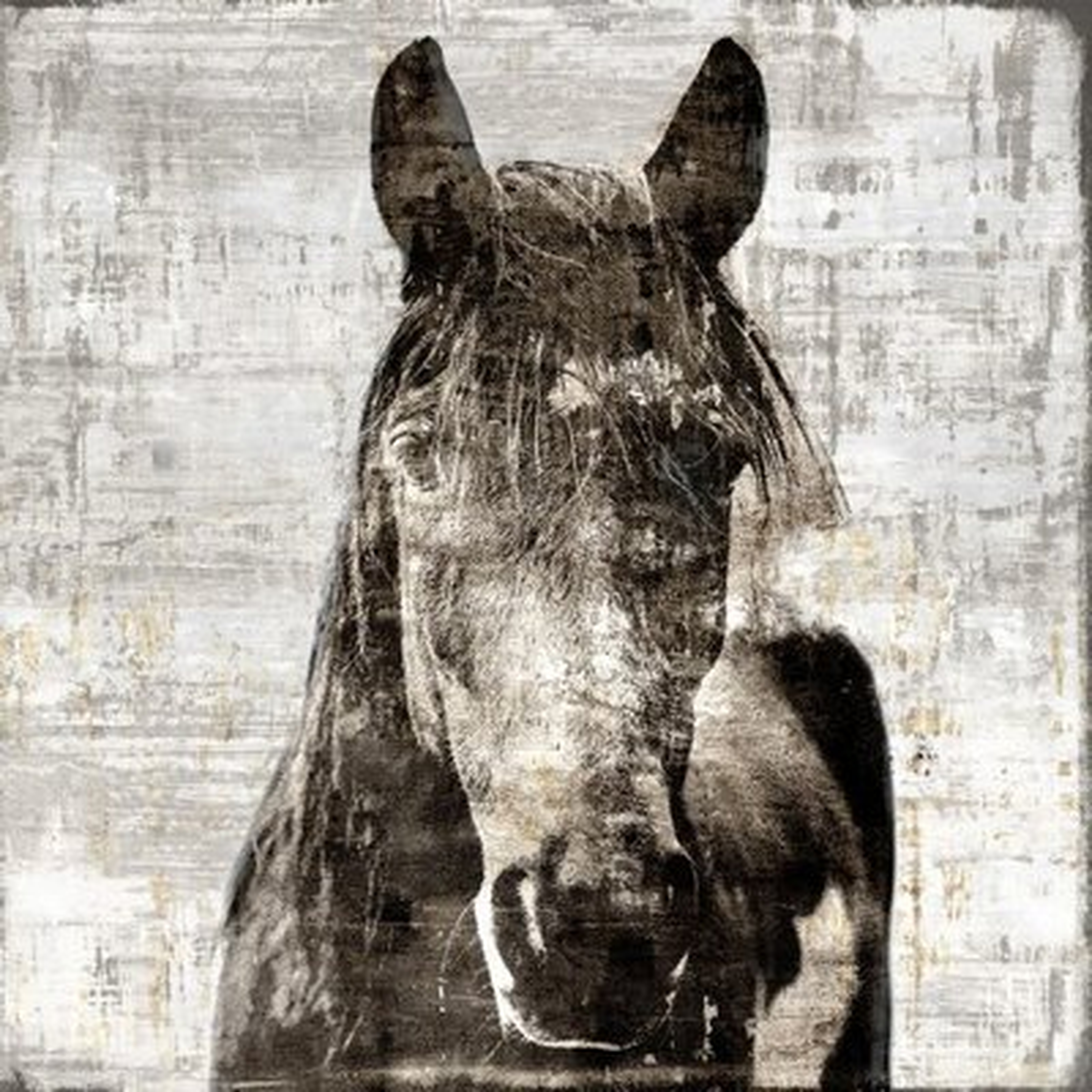 'Winter Stallion' Framed Graphic Art Print on Glass - Wayfair