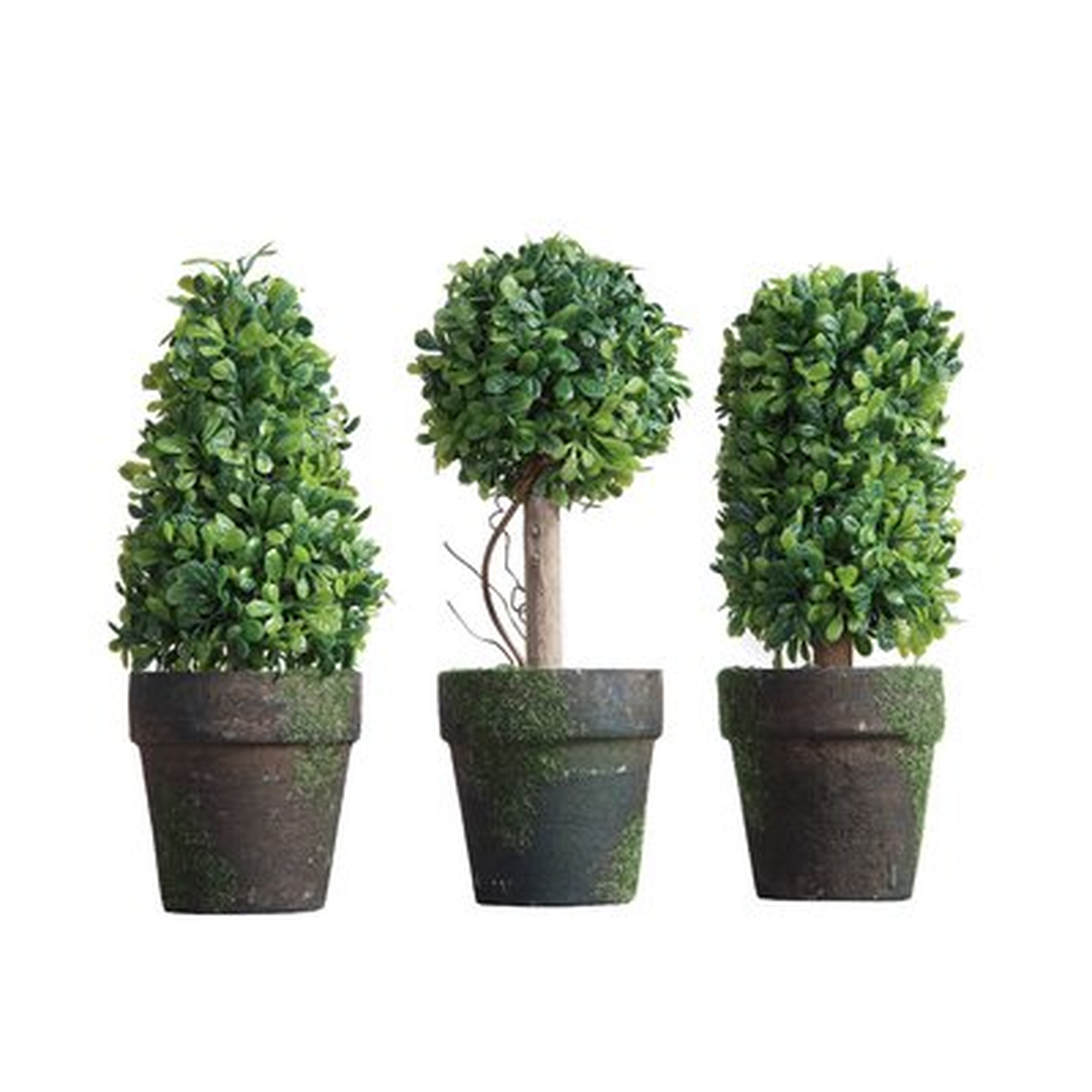 3 Piece Faux Topiary in Pot Set - Wayfair