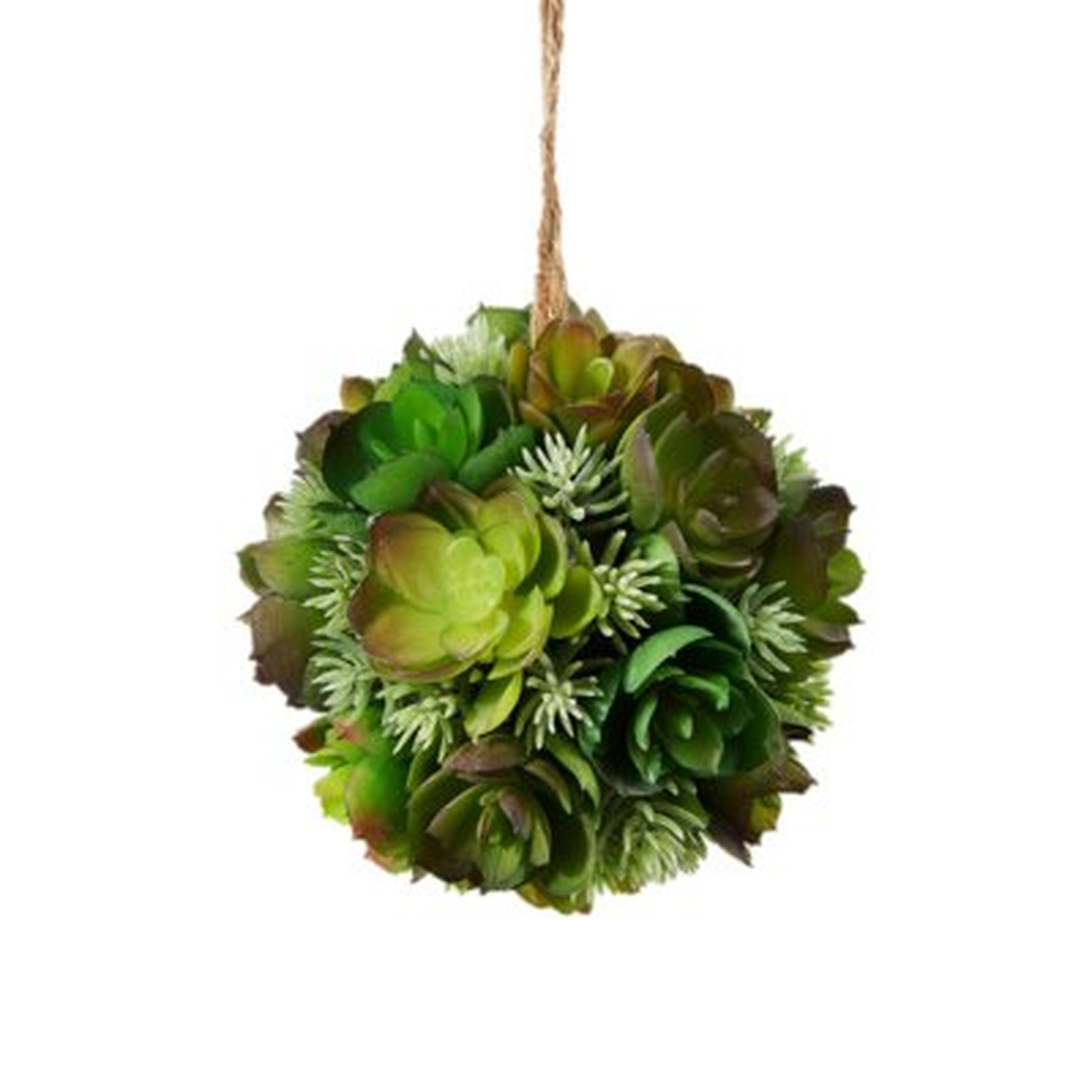 Decorative Artificial Ball Hanging Echeveria Succulent Plant - Wayfair