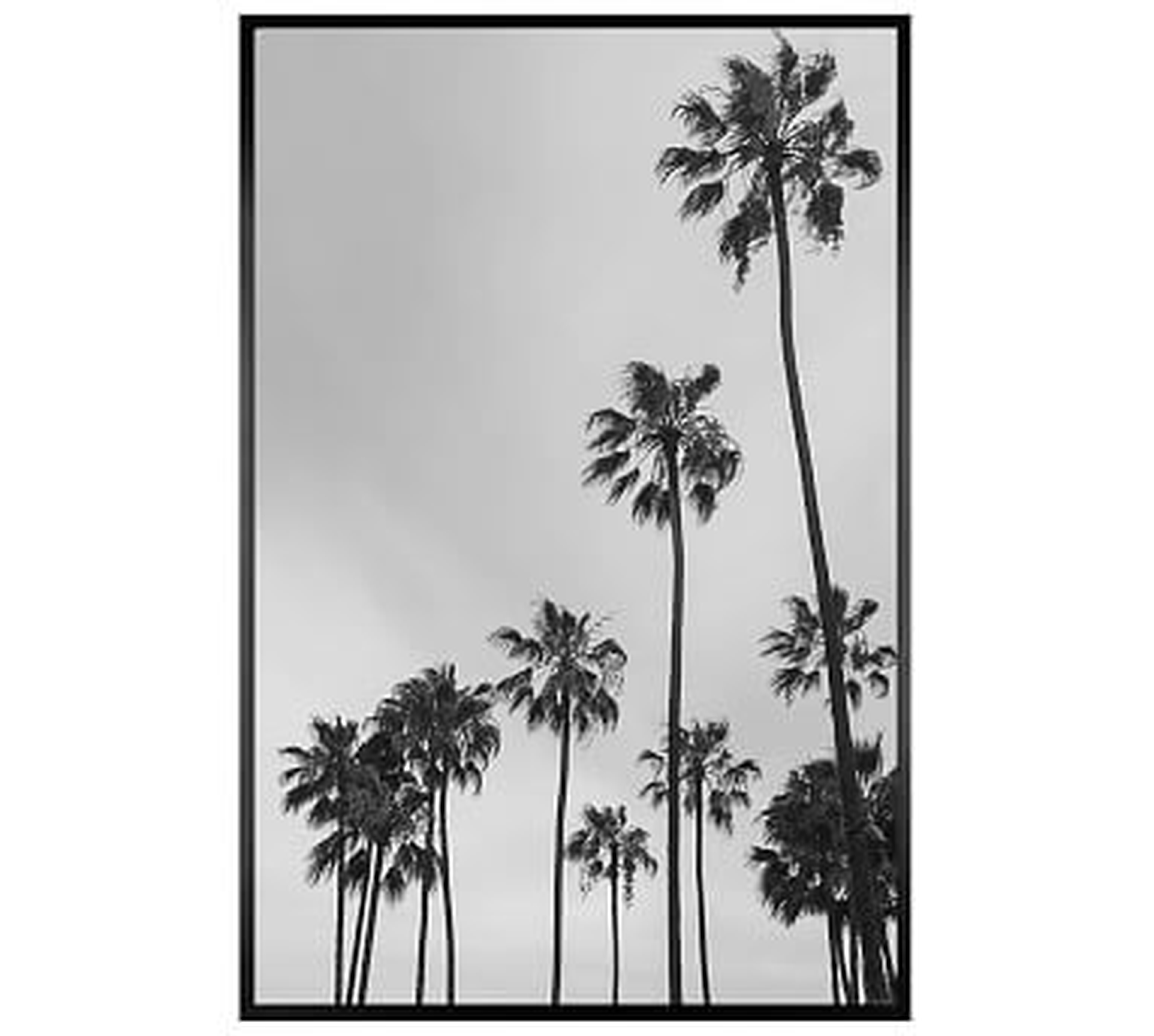 Los Angeles Palm Trees Jane Wilder 28X42 Wood Gallery Black No Mat - Pottery Barn