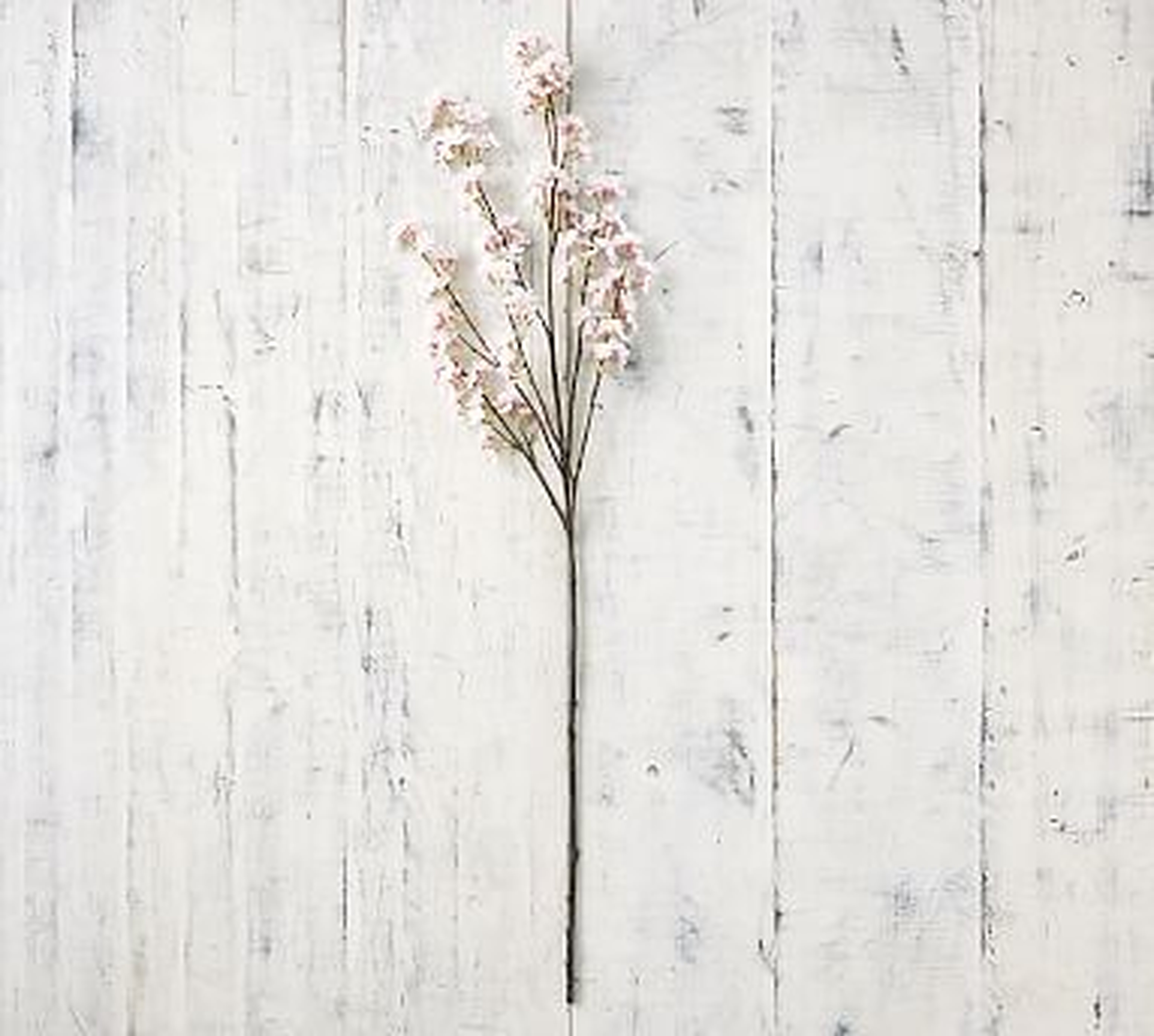 Faux Cherry Blossom Branch - Pottery Barn