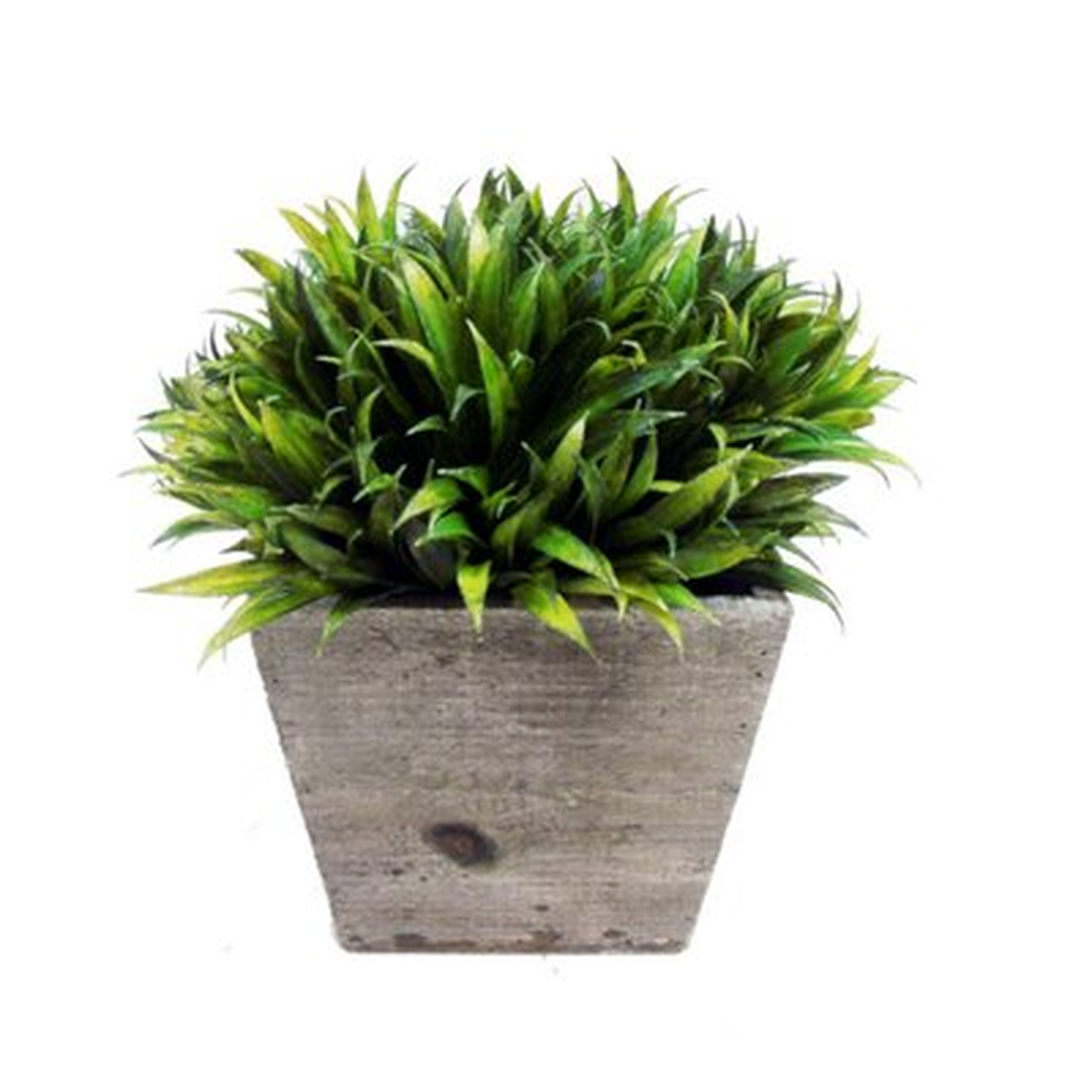 Faux Rye Grass Square Tapered in Pot - AllModern