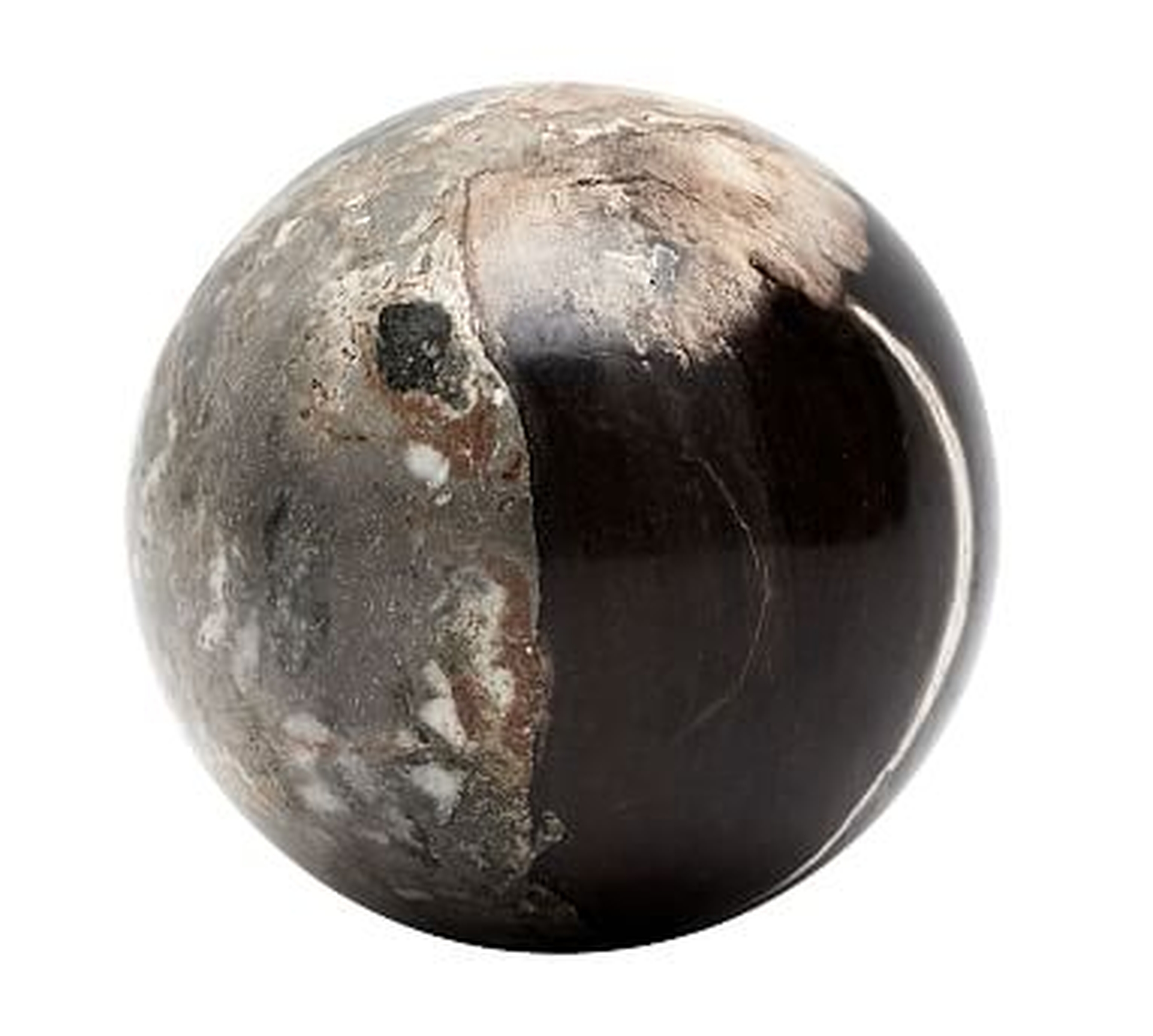 Petrified Wood Spheres, Black, Medium - Pottery Barn