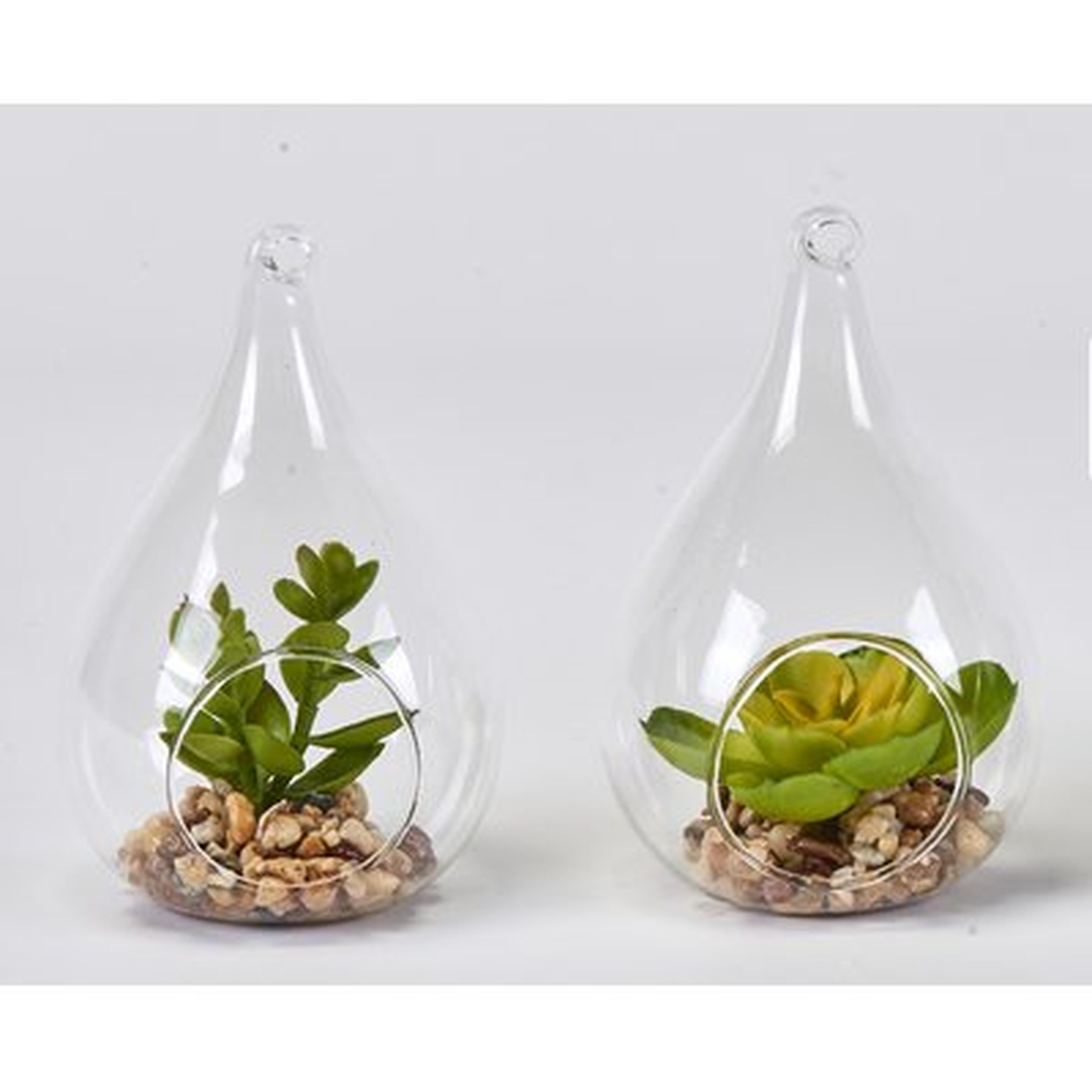 Faux Succulent Desktop Plant in Glass Vase Set (Set of 2) - Wayfair