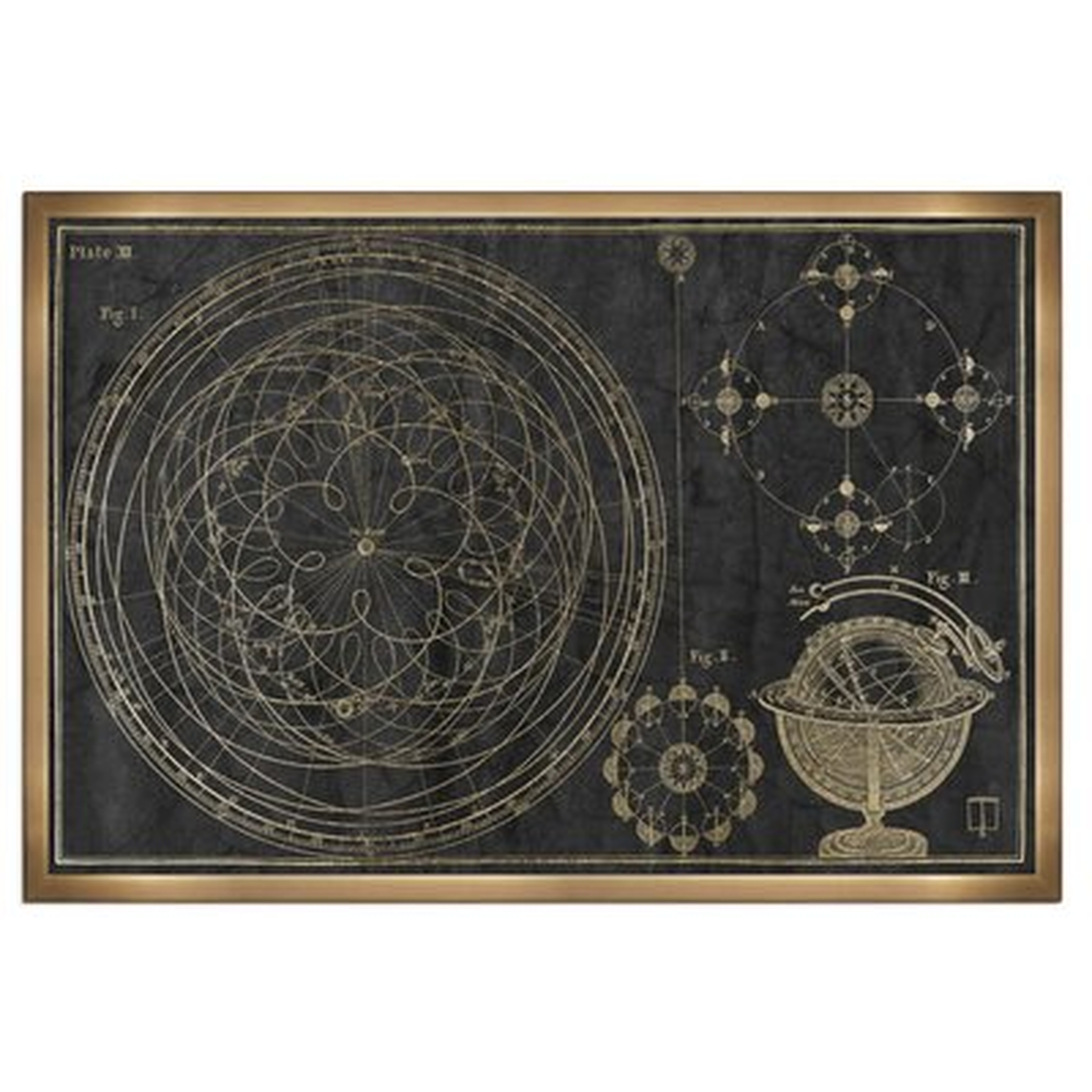 'Floreali Astronomic Plate' Framed Graphic Art - Wayfair