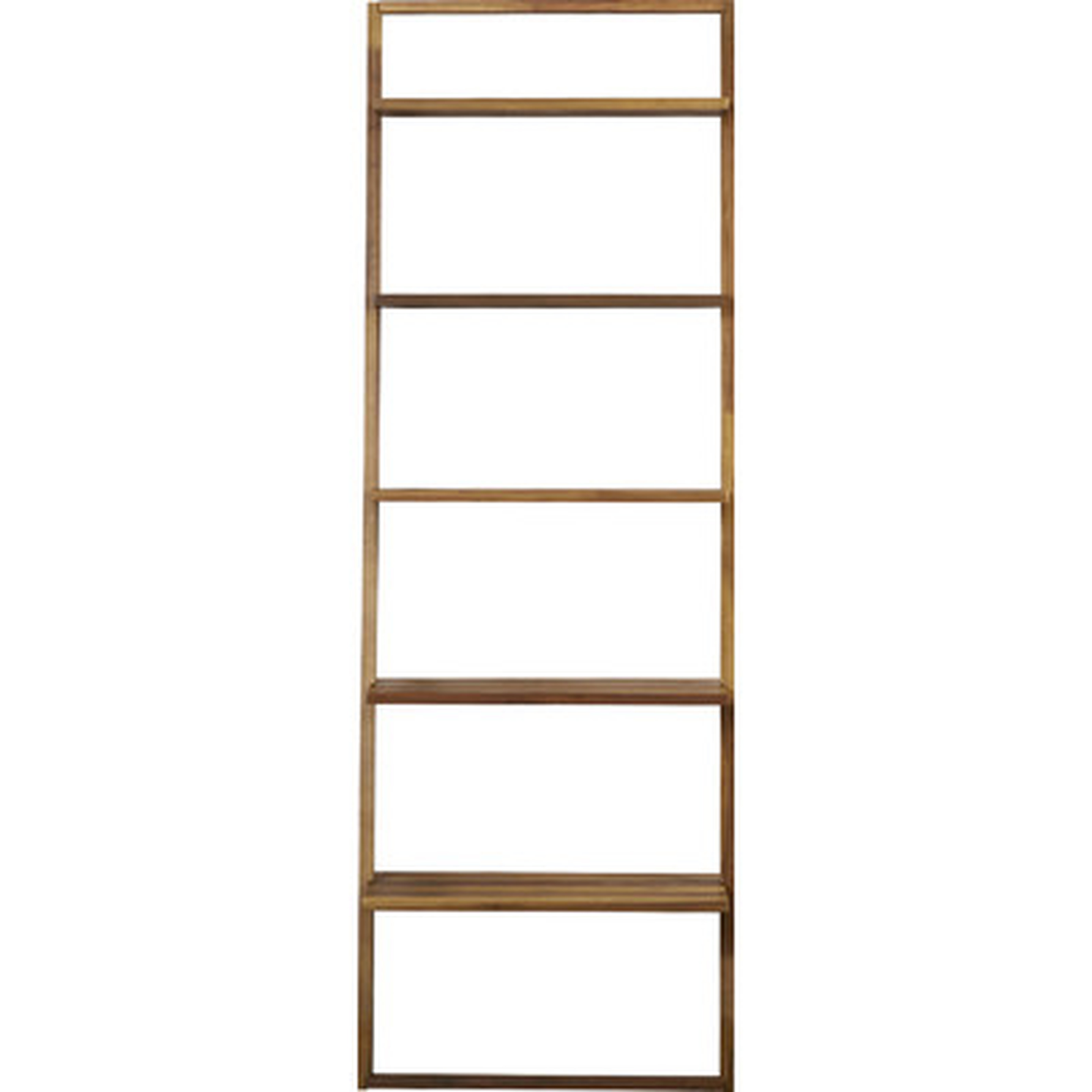 Aldo Ladder Bookcase - AllModern