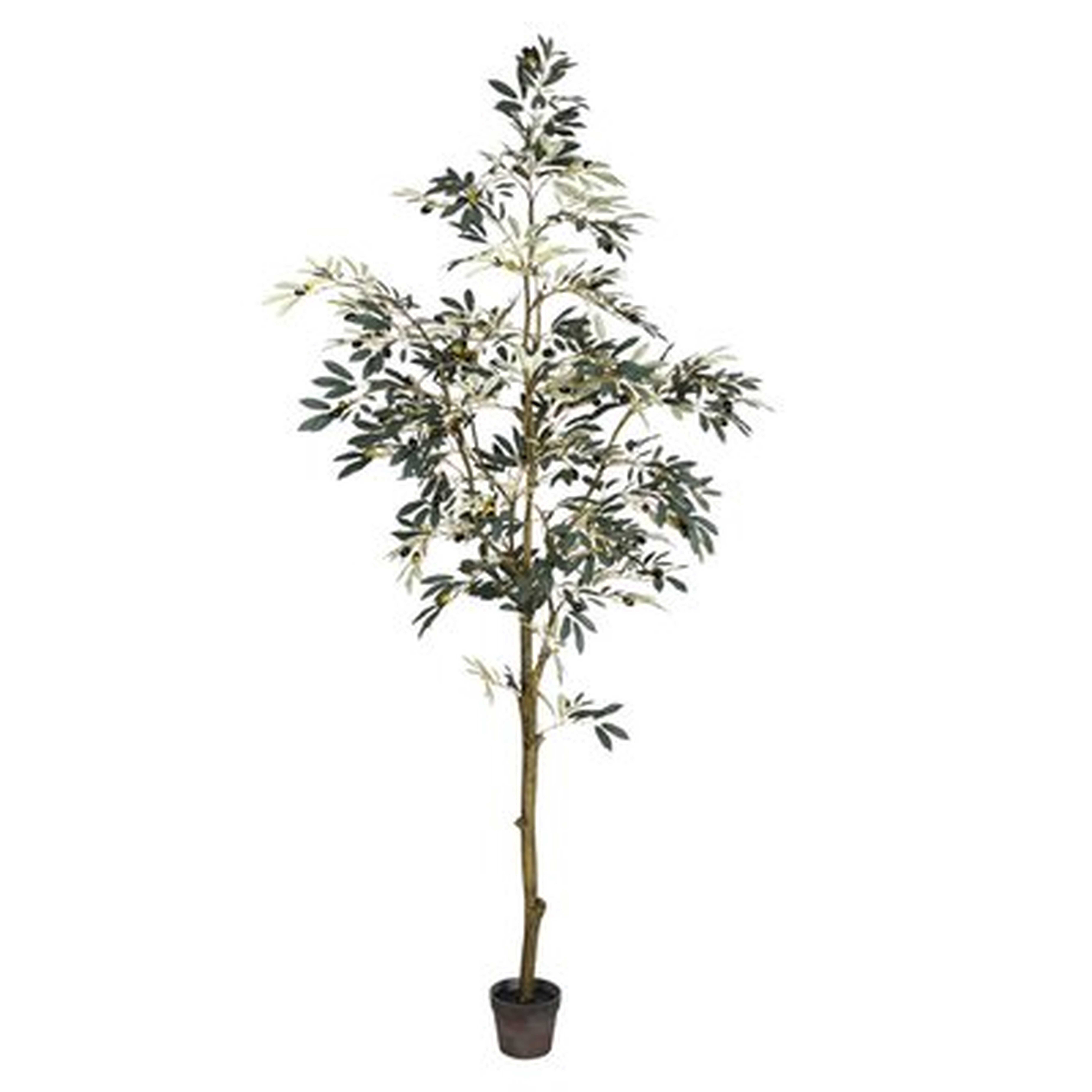 84" Faux Potted Olive Floor Foliage Tree in Pot - Wayfair