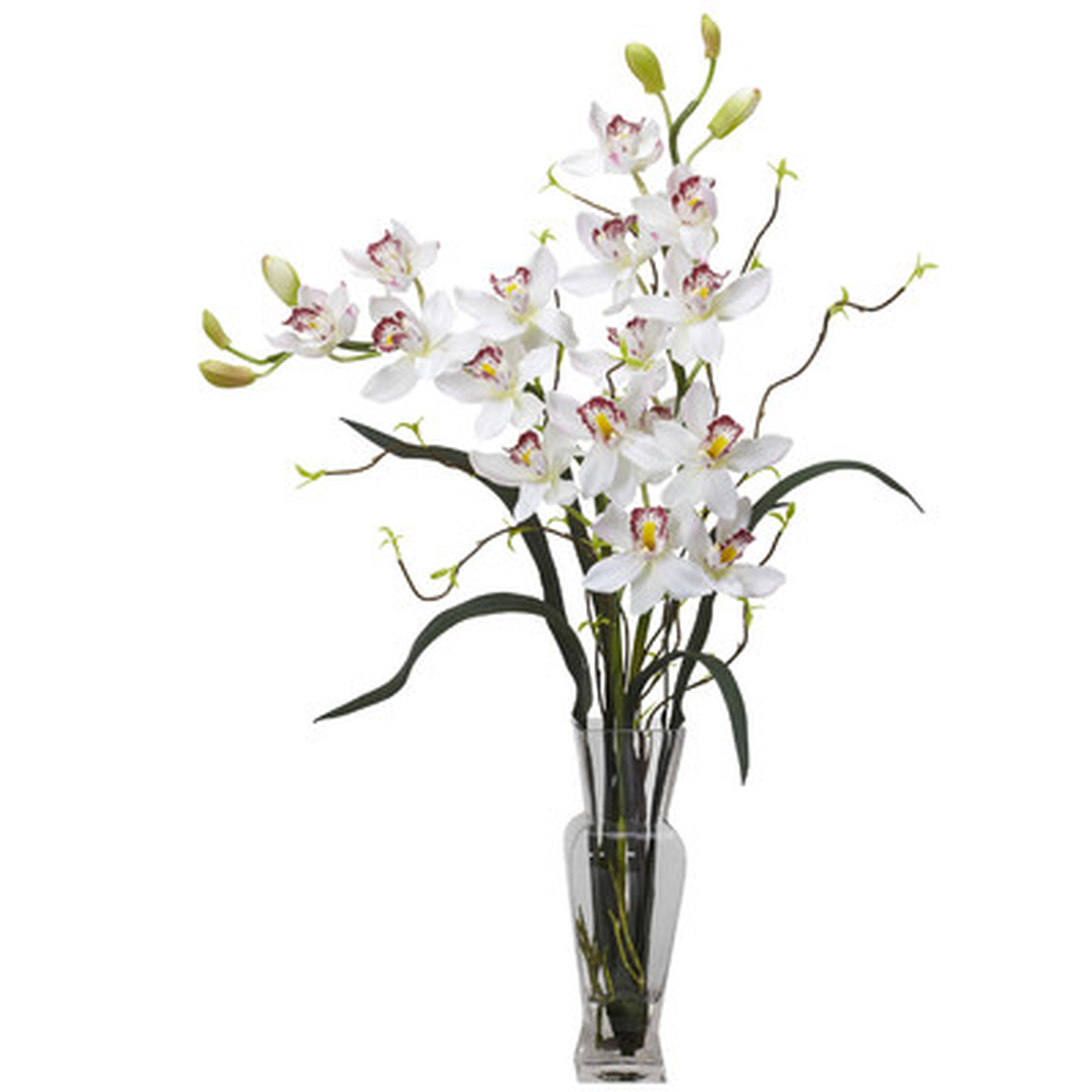 Orchids Floral Arrangement in Vase - Birch Lane