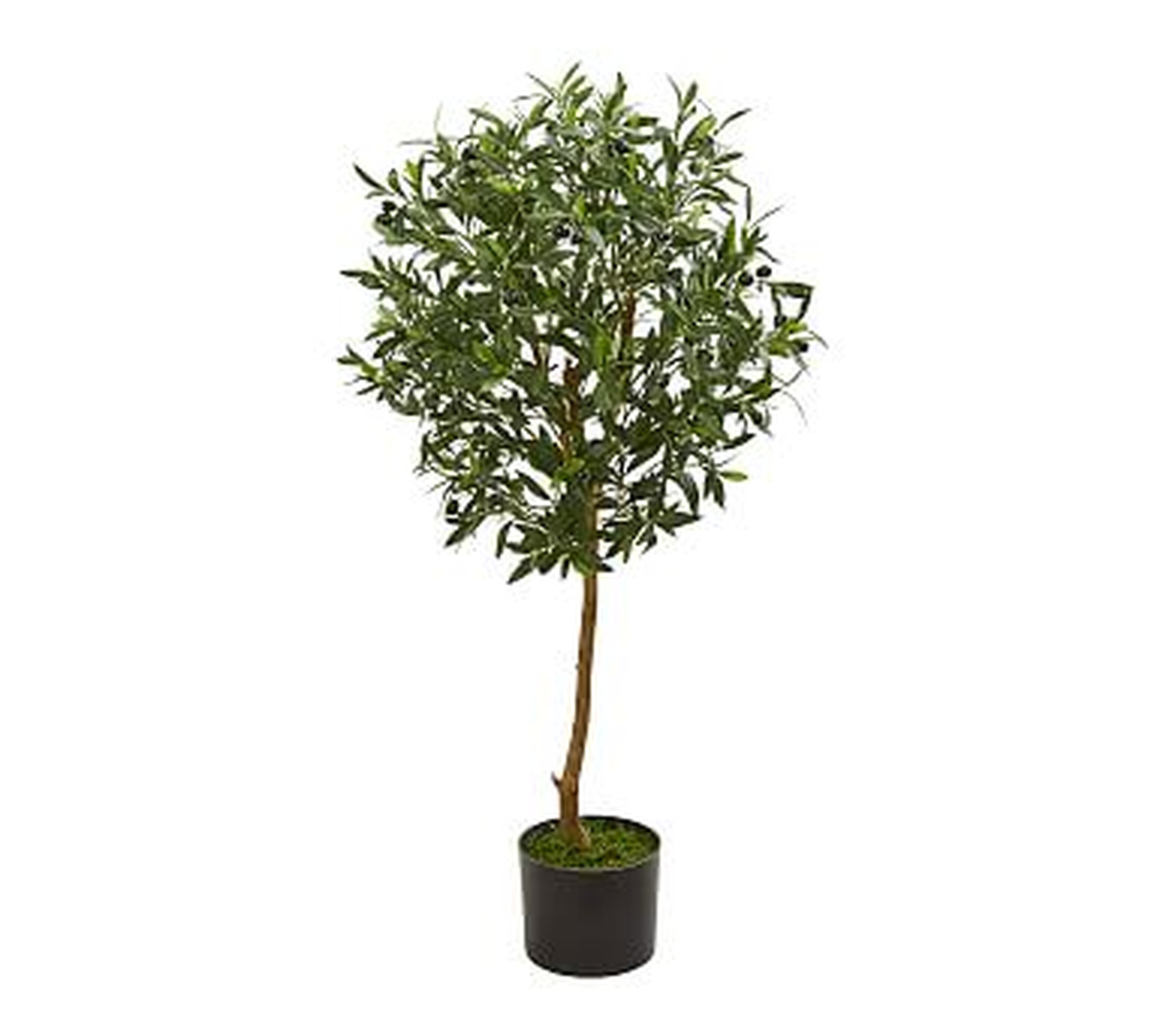Faux Thin Trunk Olive Tree, 3.5' - Pottery Barn