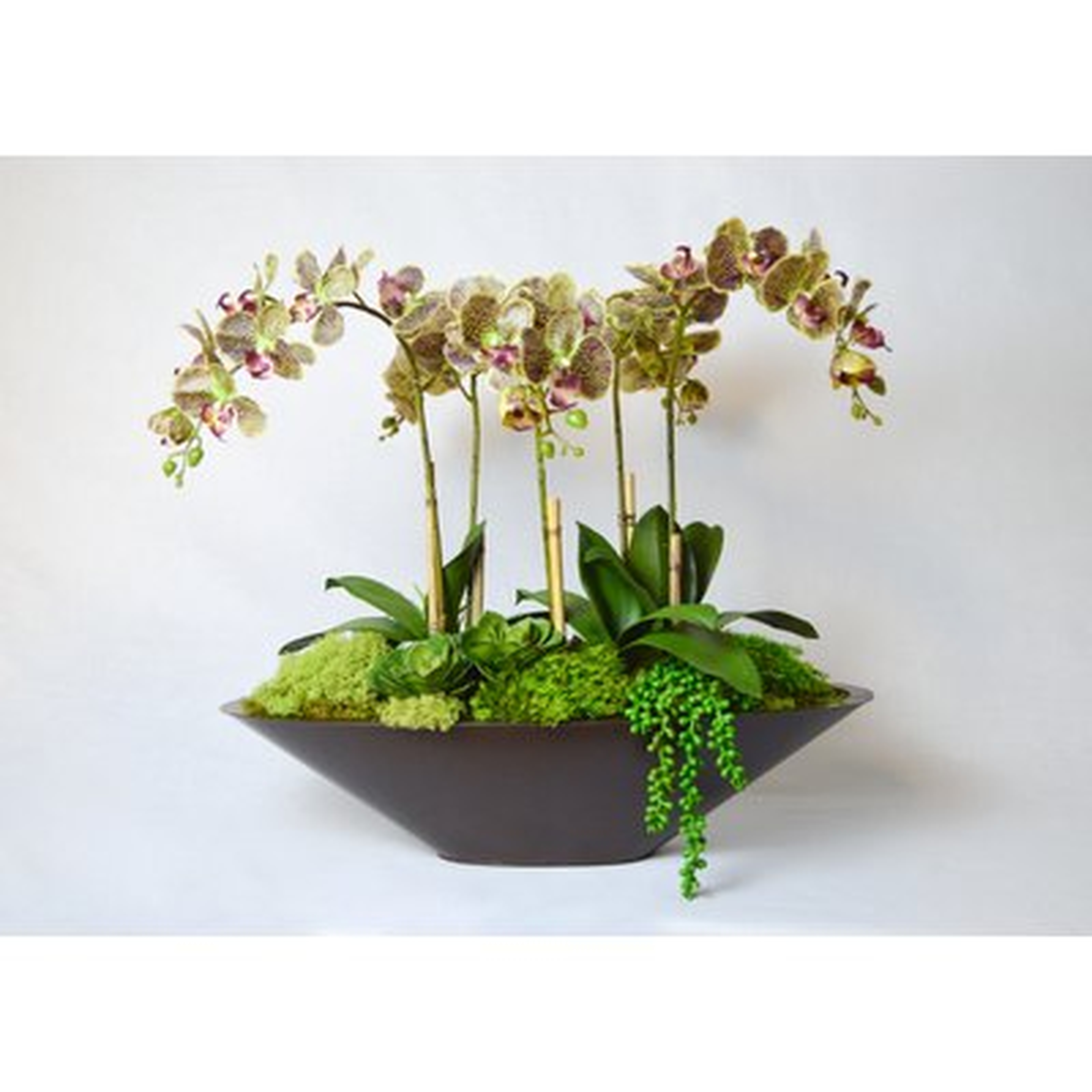 Orchid Floral Arrangement in Metal Pot - AllModern
