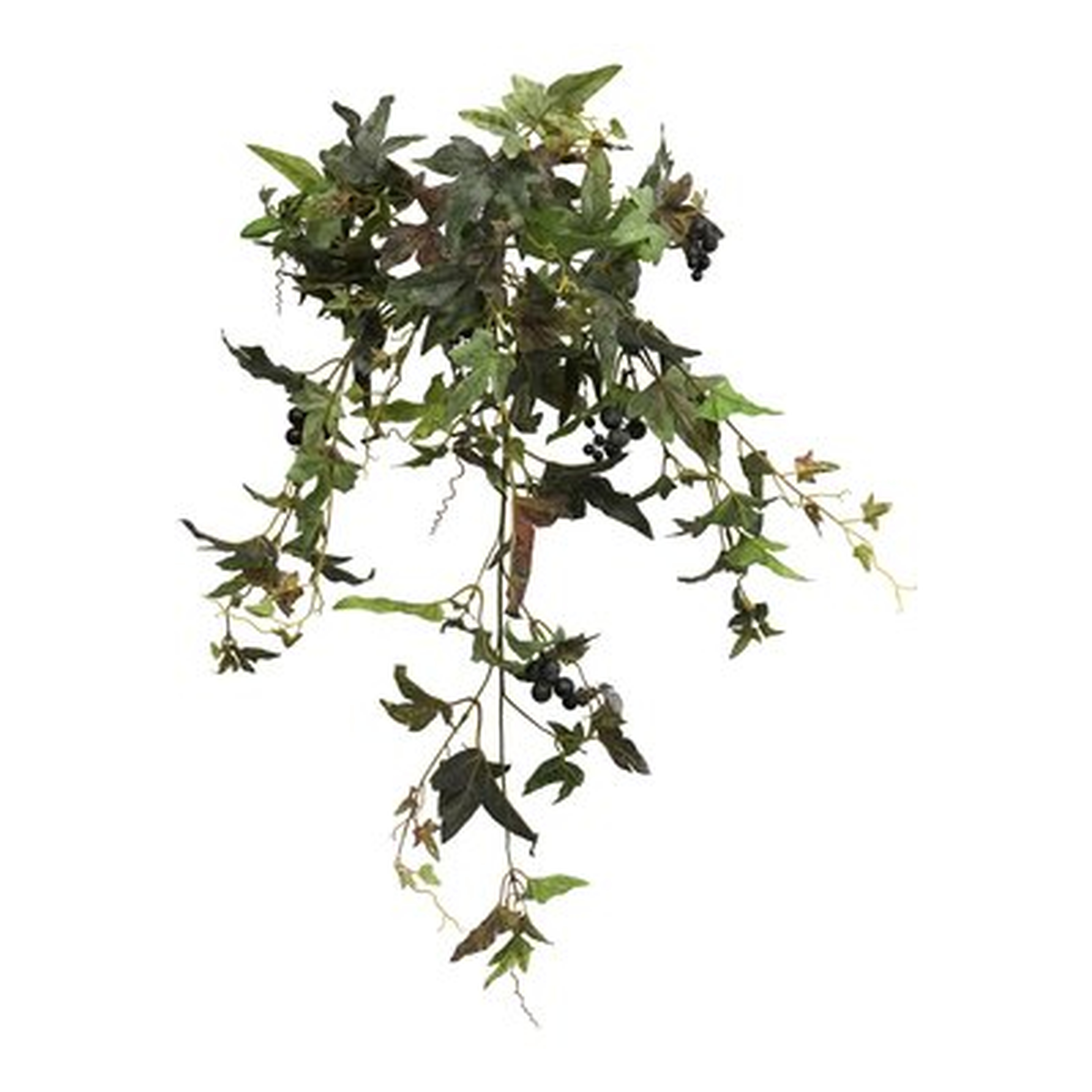 Needlepoint Ivy Plant - Wayfair