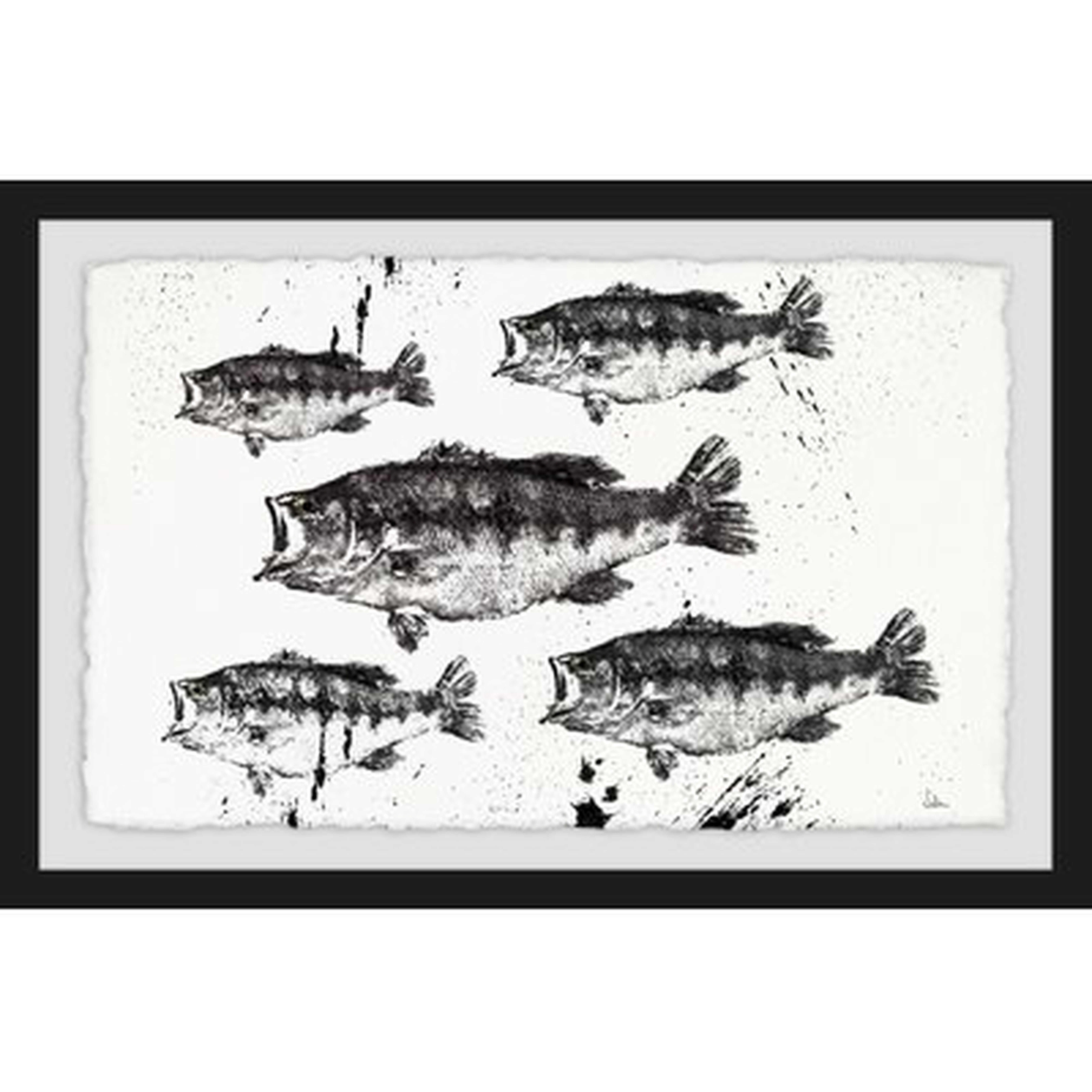 'Black and White Fish' Framed Print - Wayfair