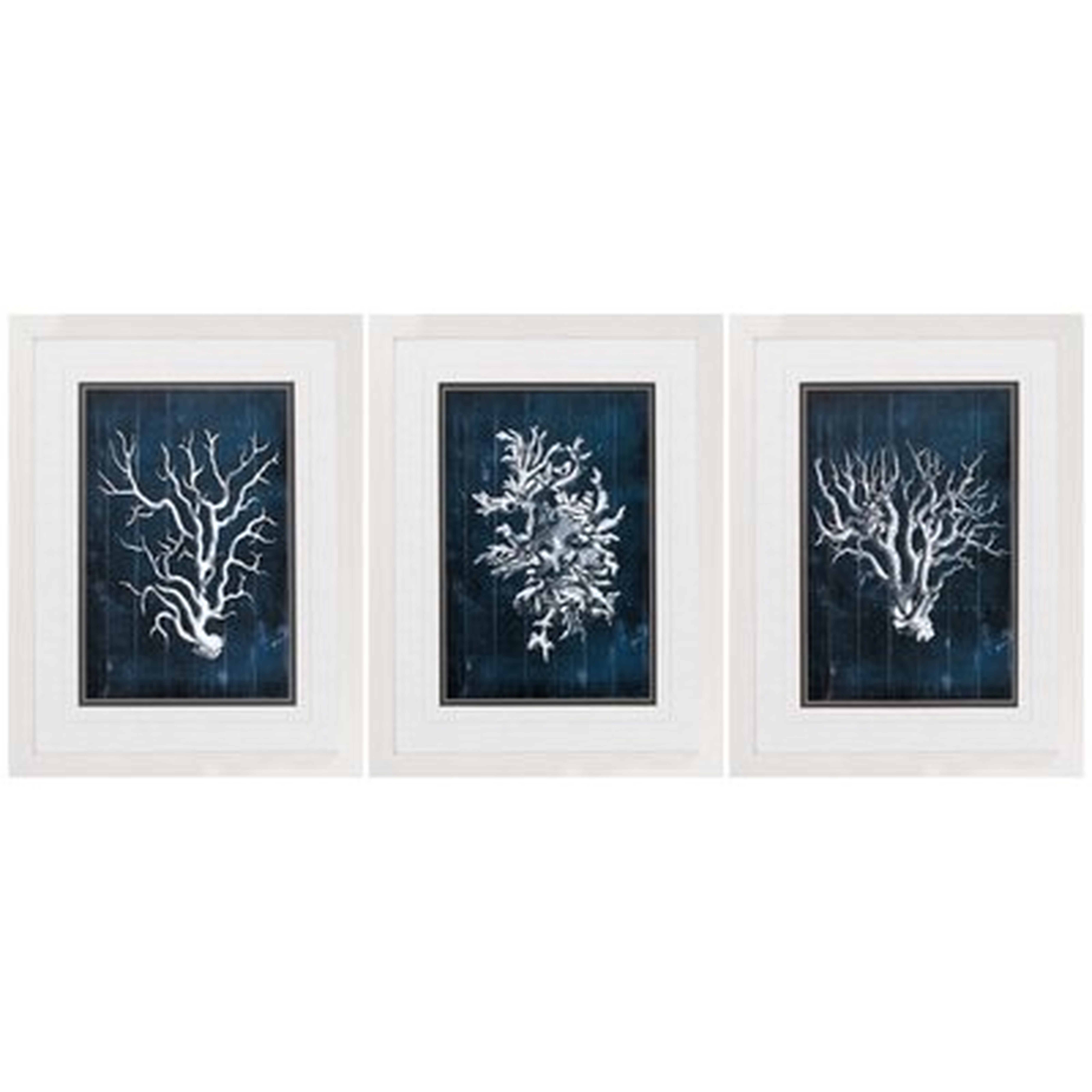 Wood Coral - 3 Piece Picture Frame Graphic Art Print Set on Paper - Birch Lane