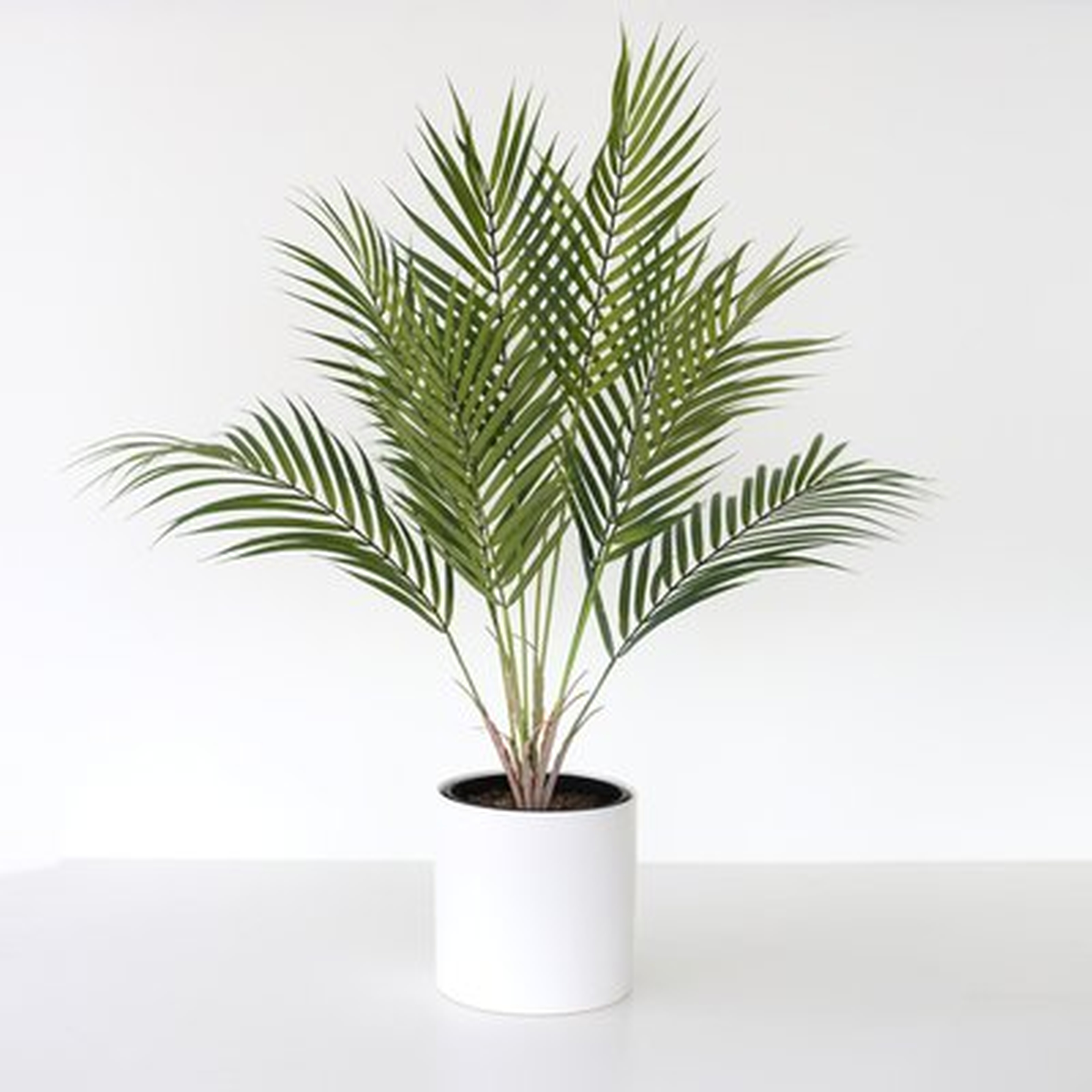 Artificial Areca Palm Plant in Ceramic Vase - Wayfair