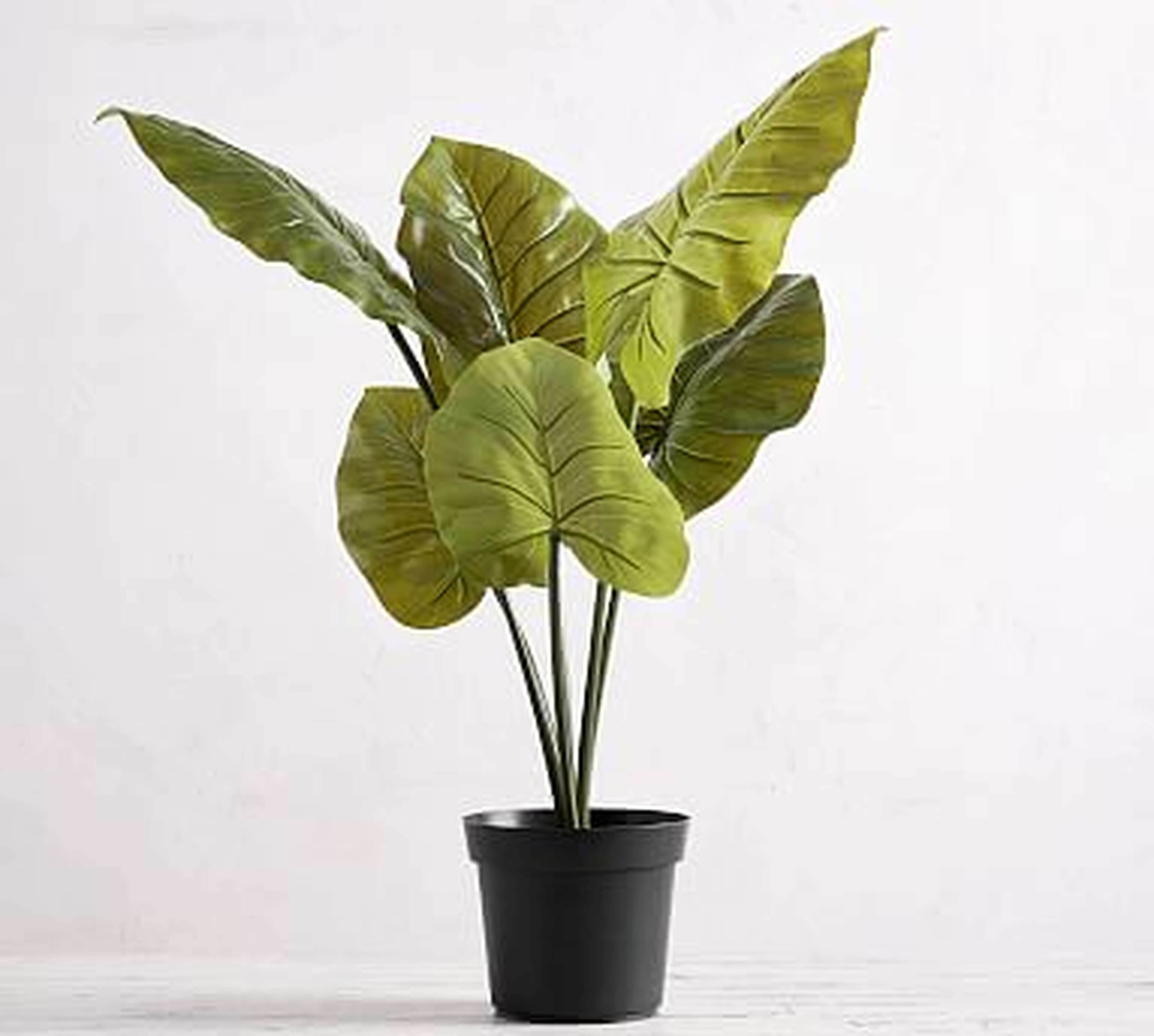 Faux Potted Philodendron Houseplant, Large - Pottery Barn