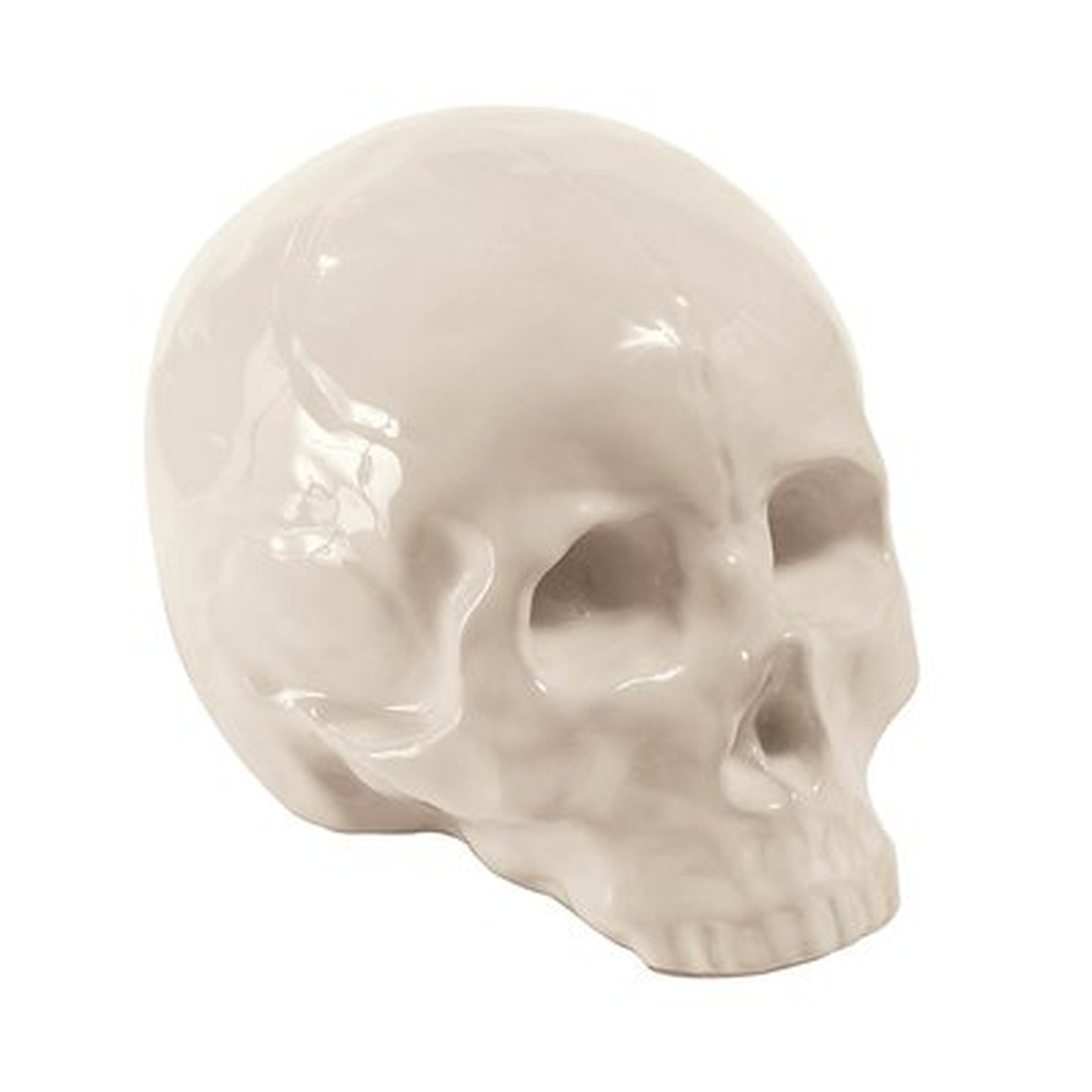 Memorabilia Porcelain Skull Figurine - Wayfair